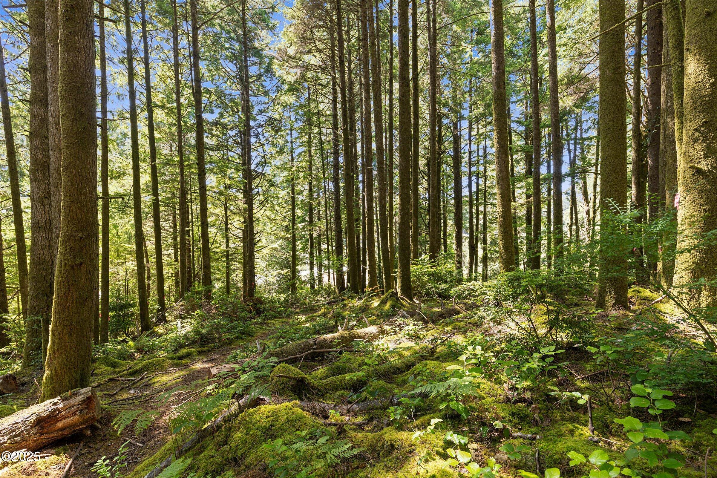 2240 SE Highway 101/1423 SE 23rd Dr