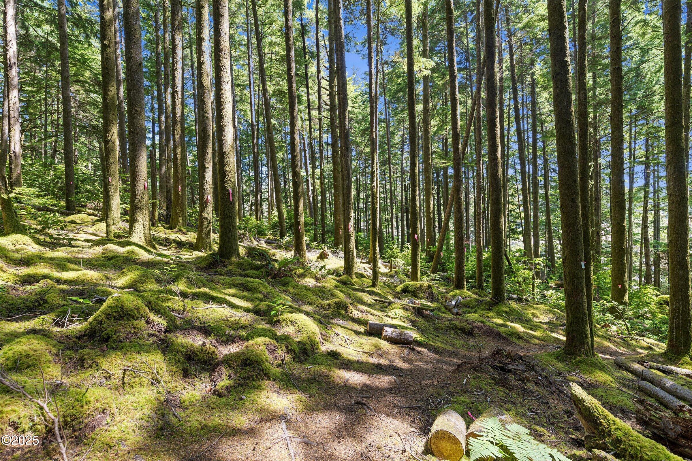 2240 SE Highway 101/1423 SE 23rd Dr