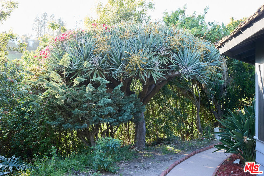 11222 Bellagio Road