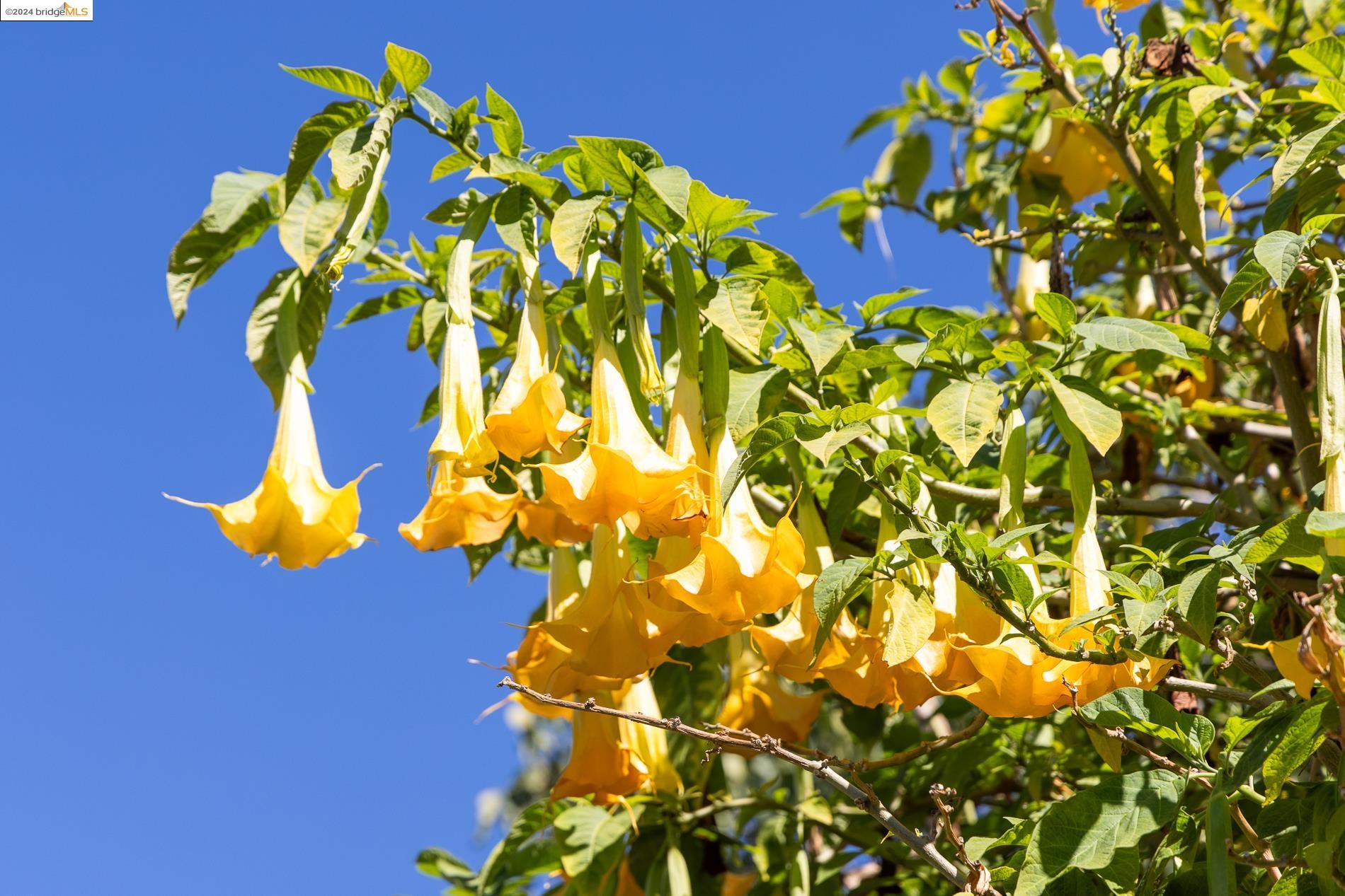 885 47Th St, Oakland