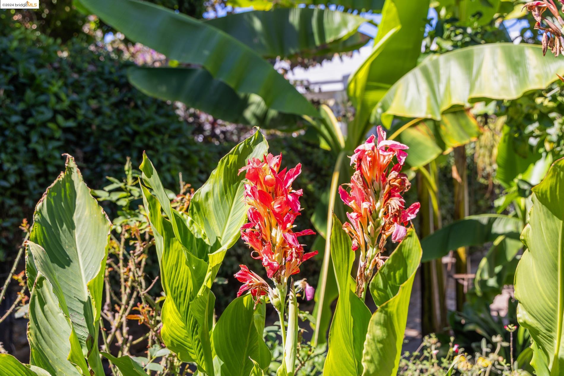 885 47Th St, Oakland