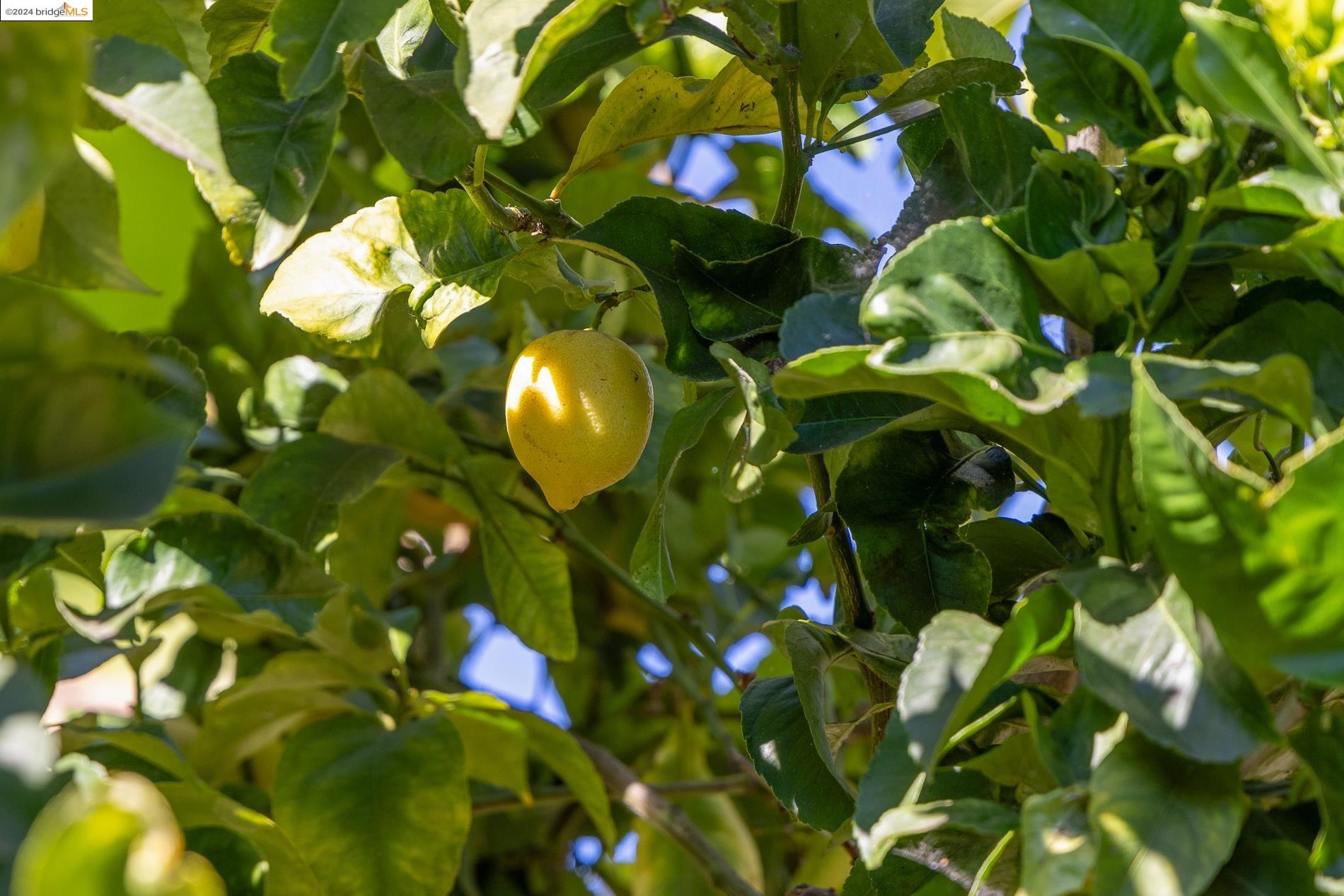 885 47Th St, Oakland