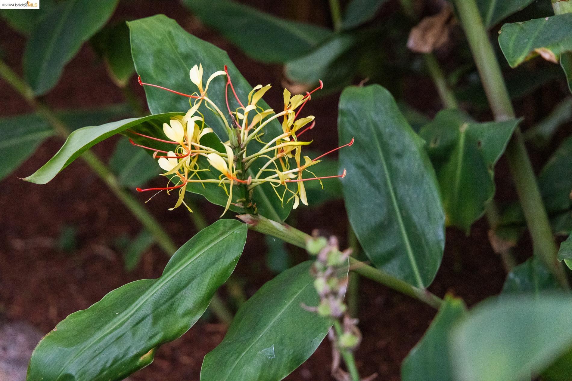 885 47Th St, Oakland