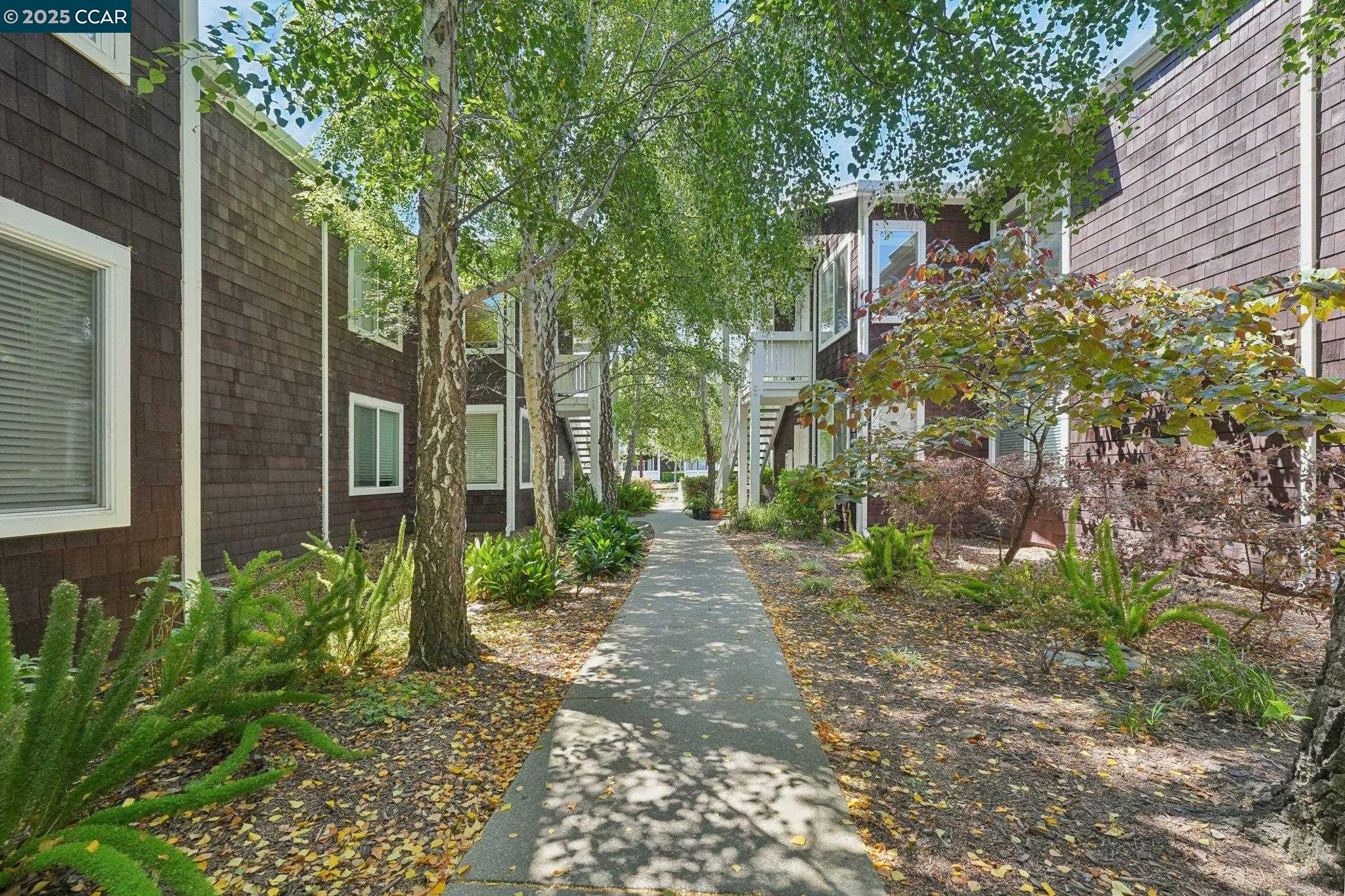 159 Bayside Ct, Richmond