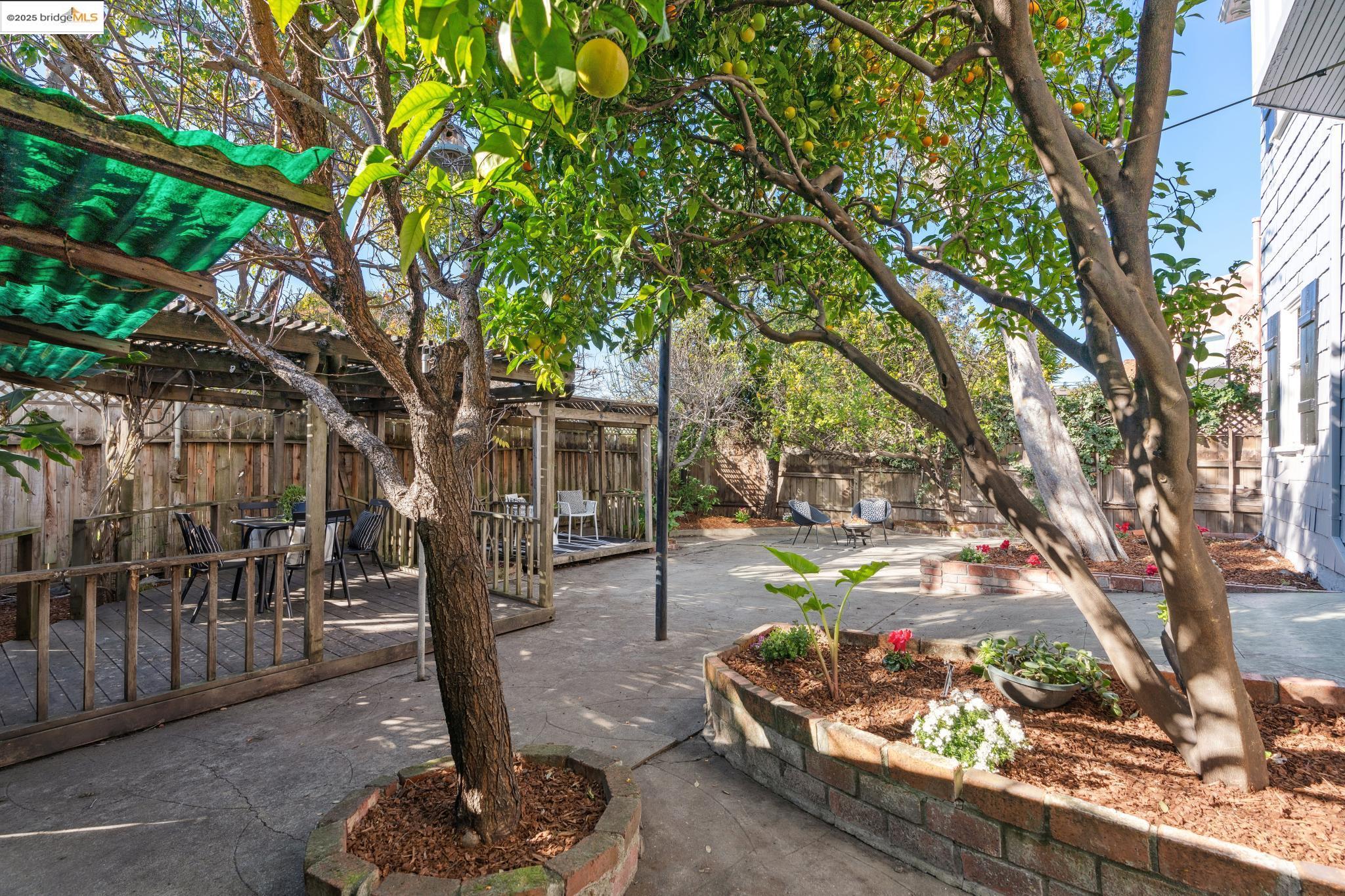 507 Mount St, Richmond