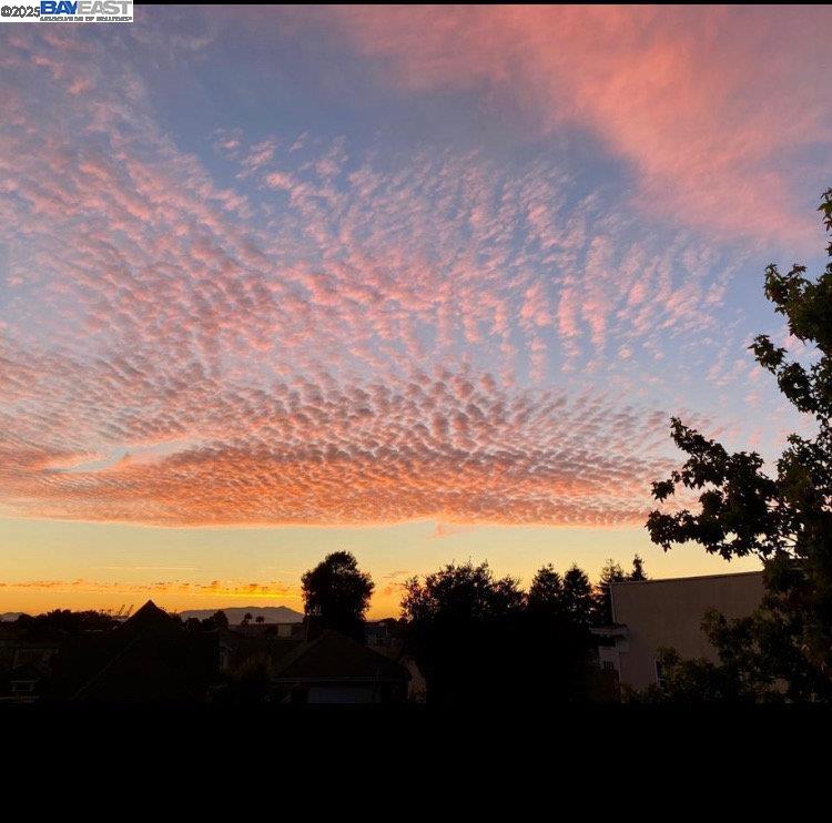 1709 Myrtle St, Oakland