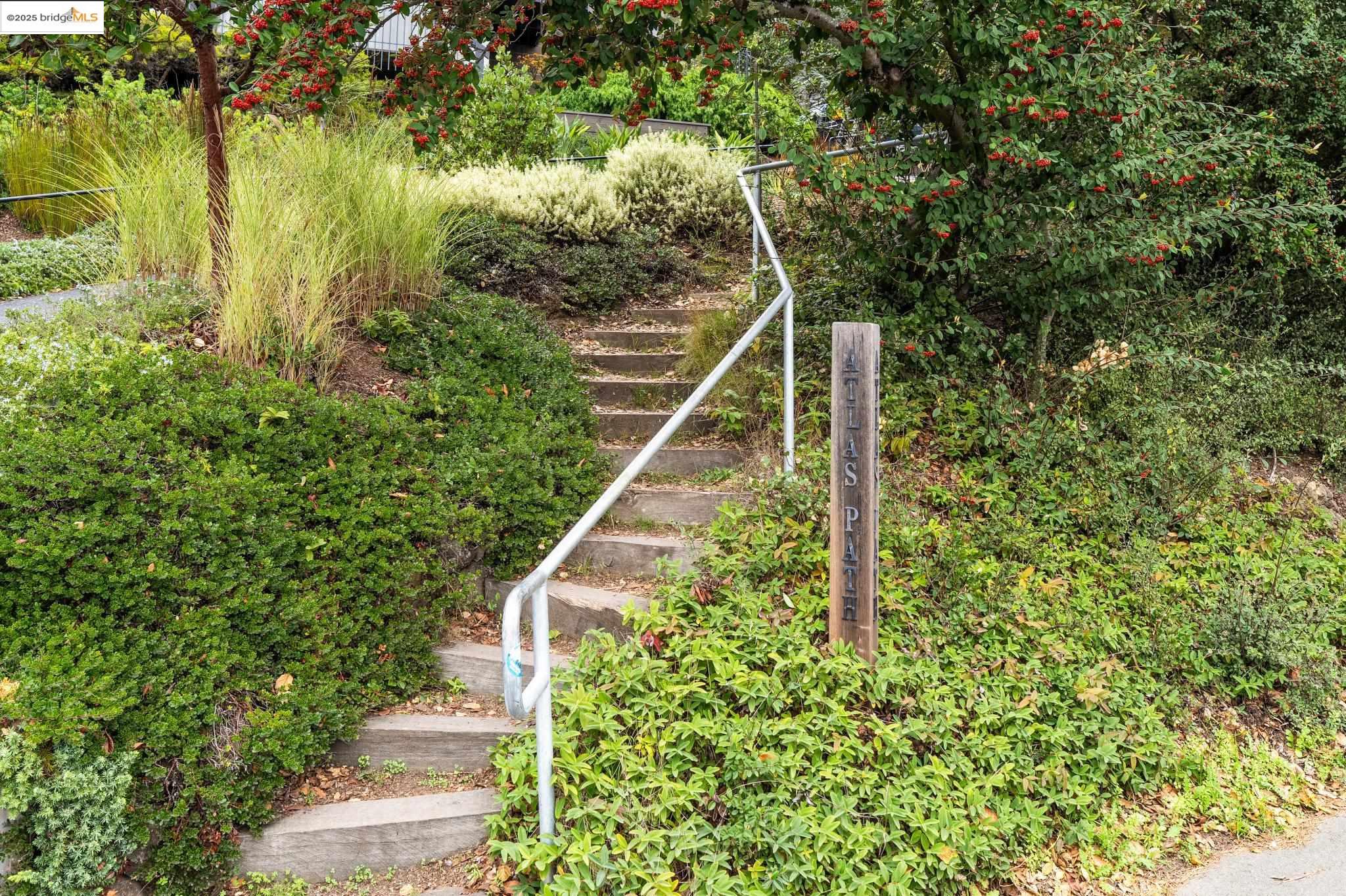 1321 Grizzly Peak Blvd