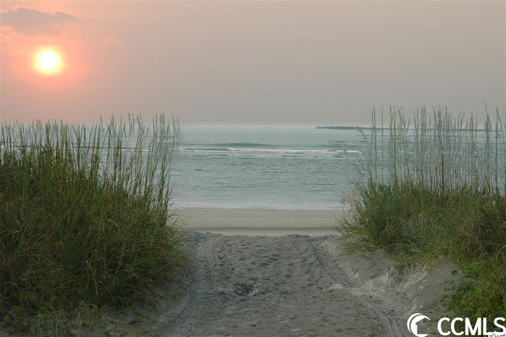 226 Augusta Green Way