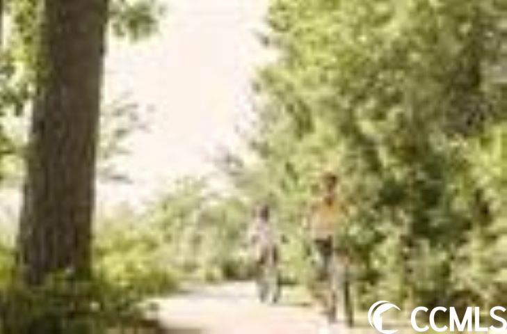 226 Augusta Green Way