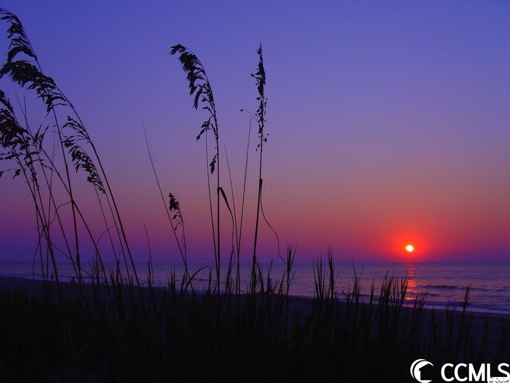 226 Augusta Green Way