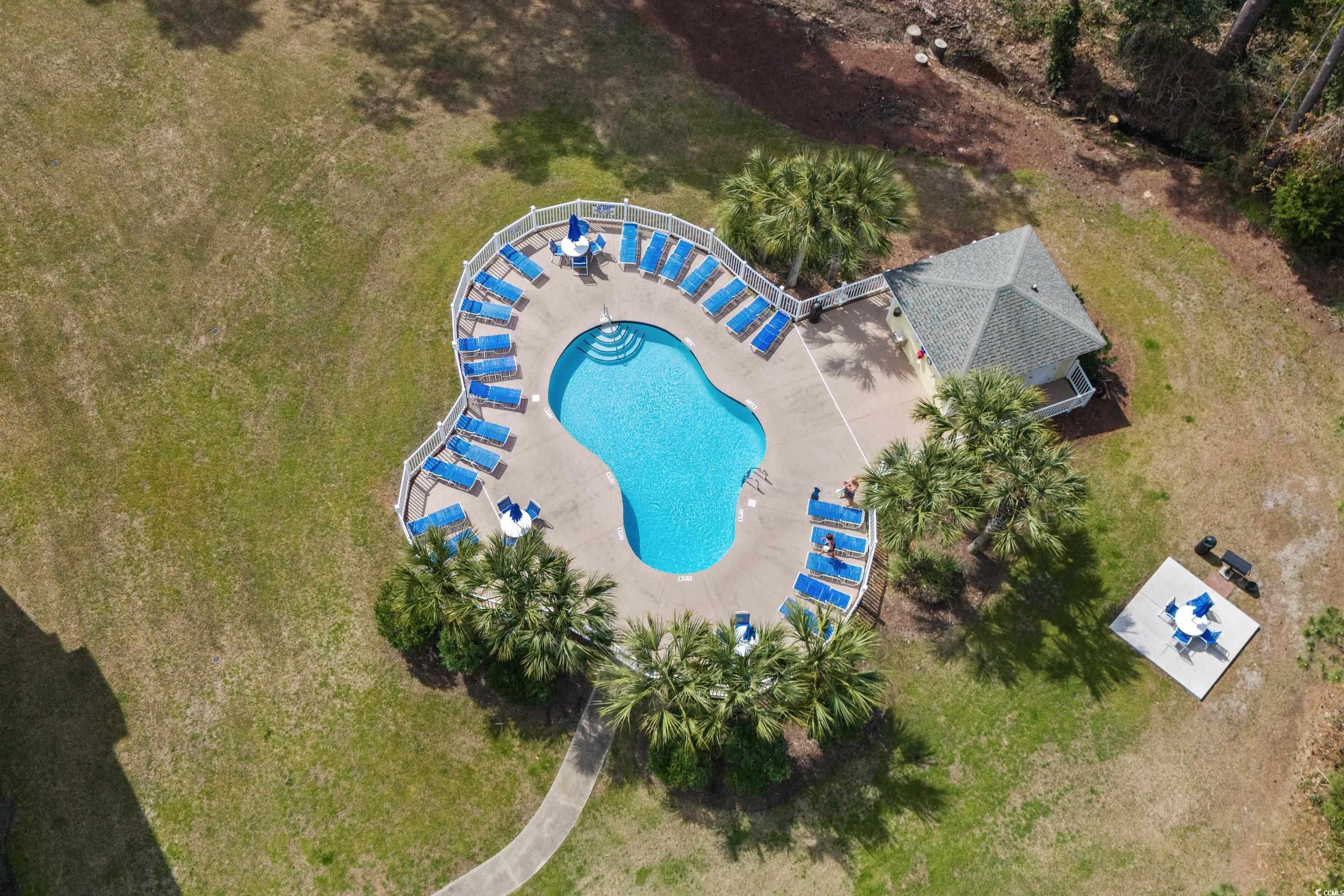 4851 Luster Leaf Circle Unit: 204