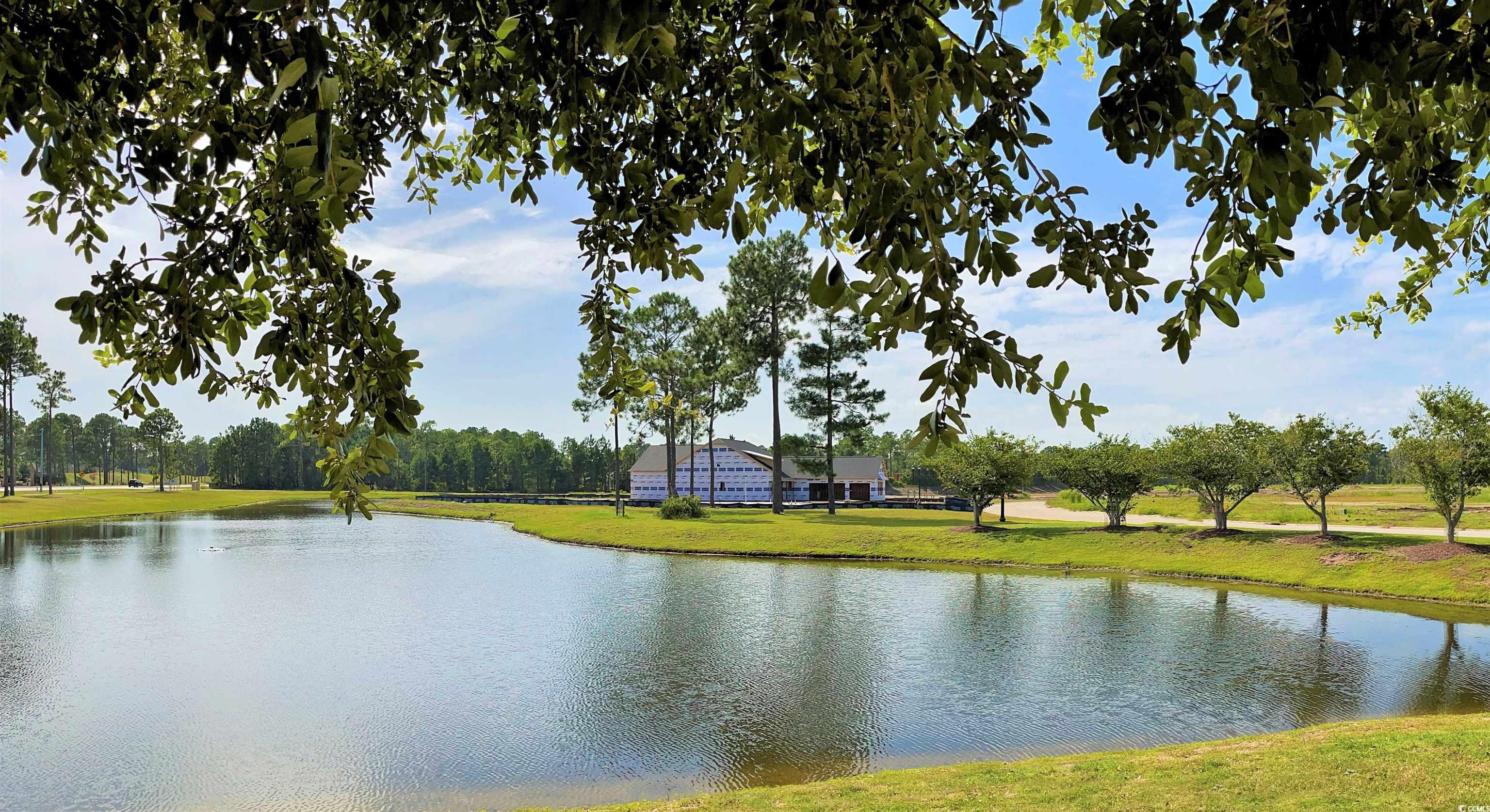 1009 Gold Dew Way