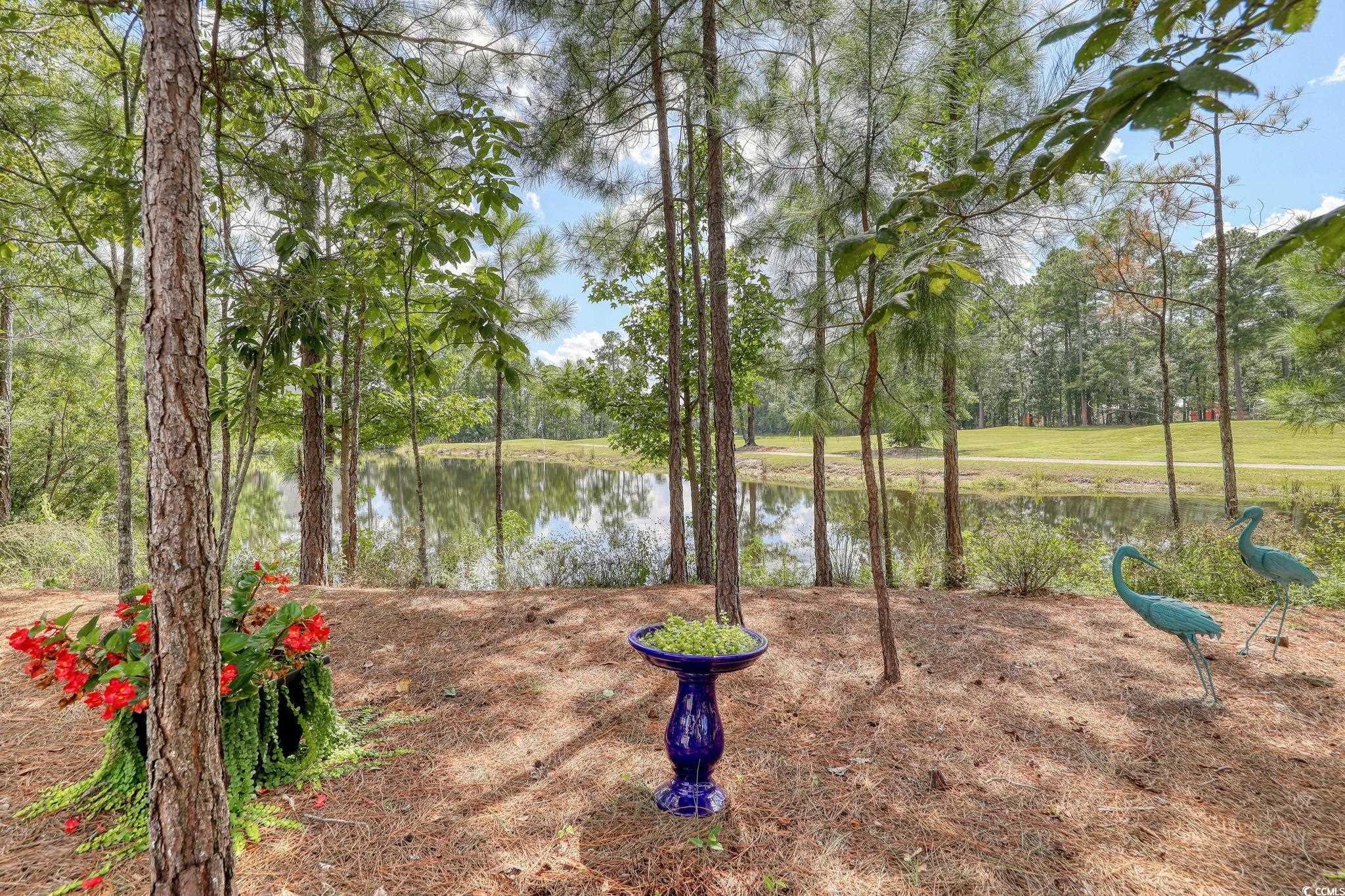 504 Timber Creek Dr.