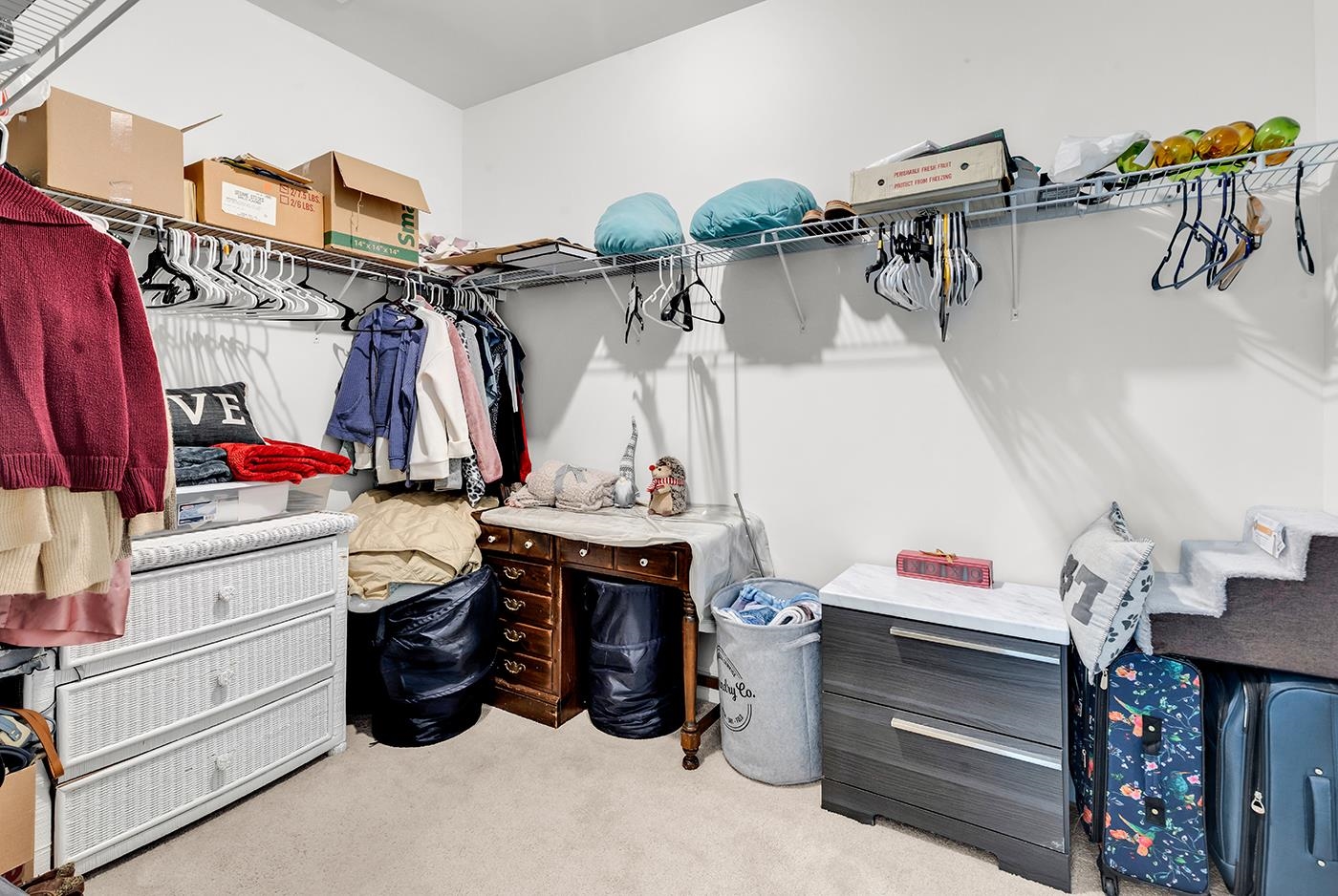 1207 Ficus Dr.