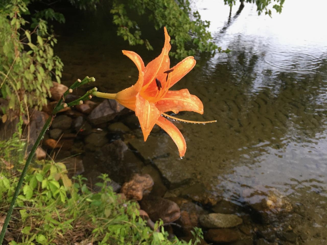 73 Tucker Shore Road