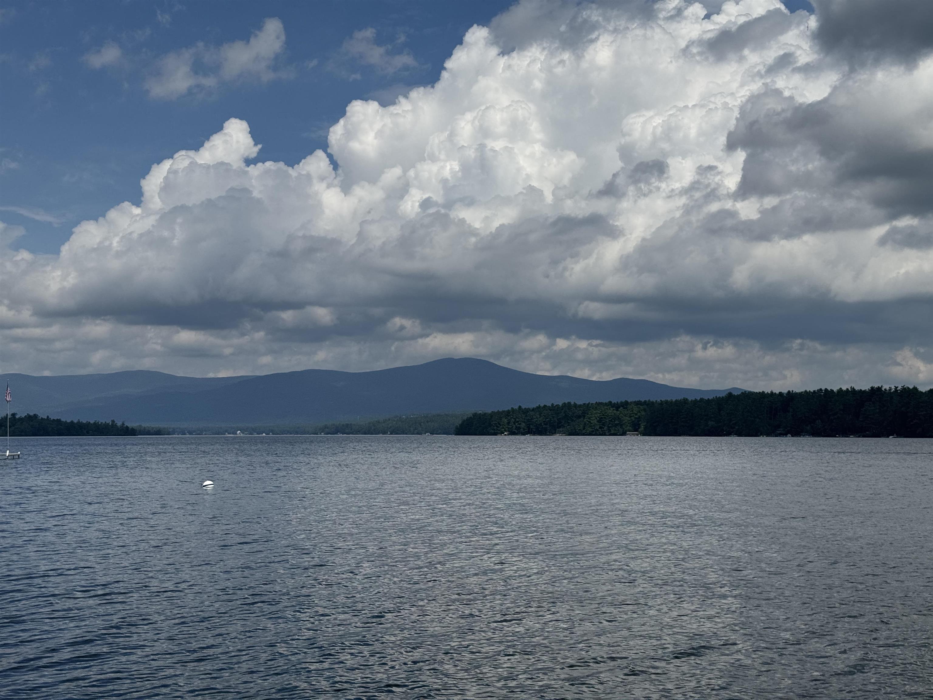 23 Cow Island