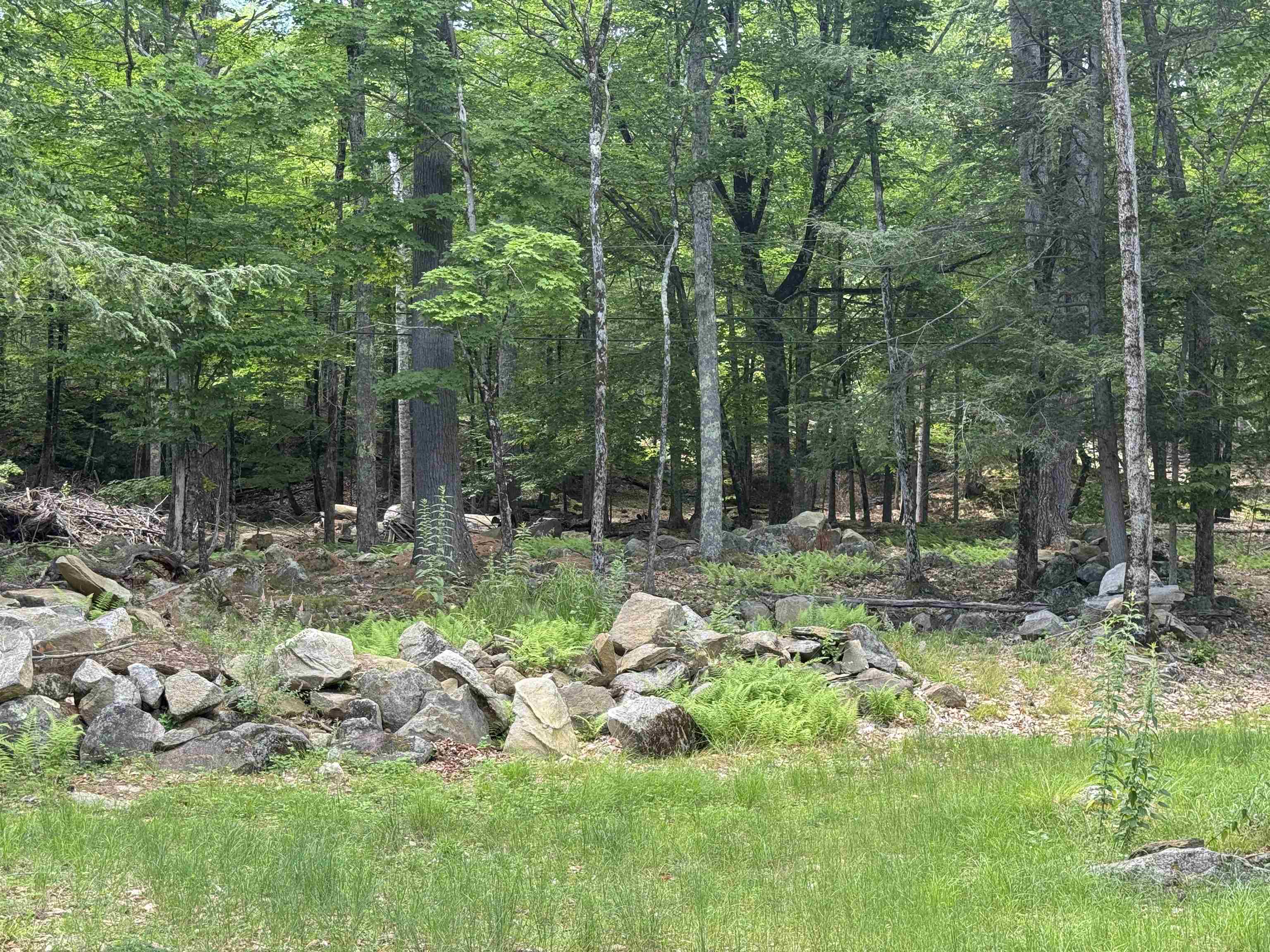23 Cow Island
