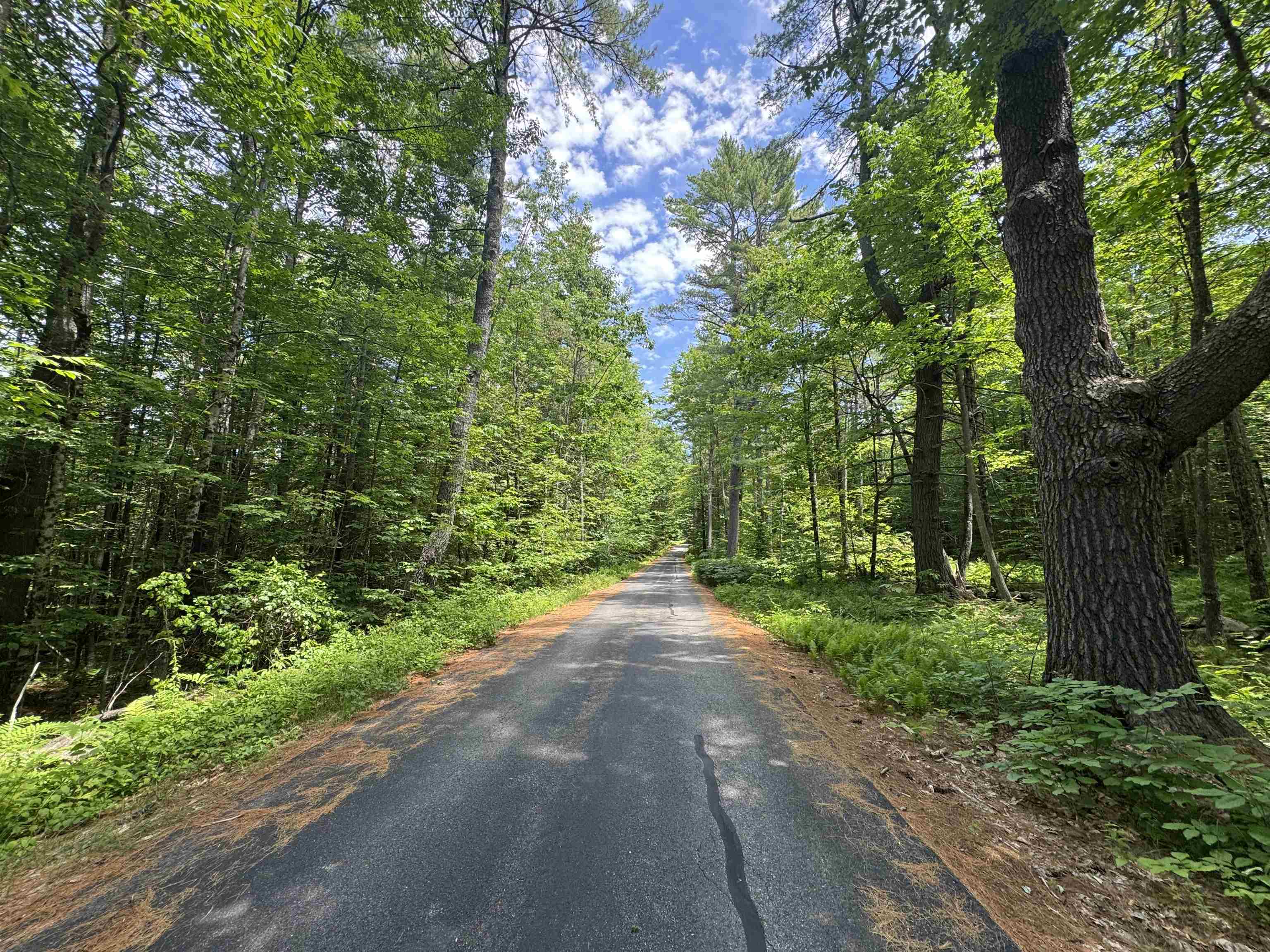 44 Pease Road