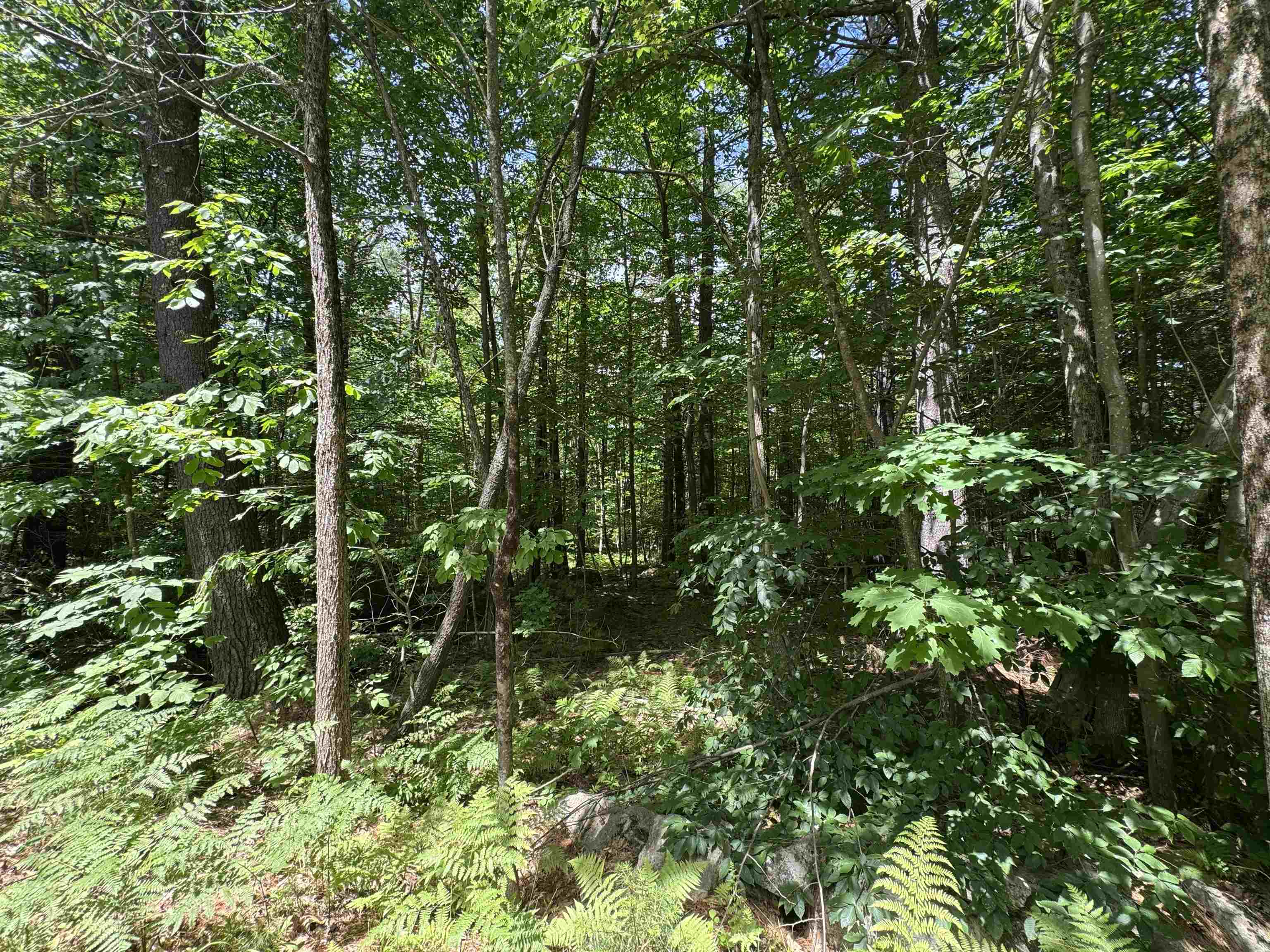 Lot S24-12C Pease Road
