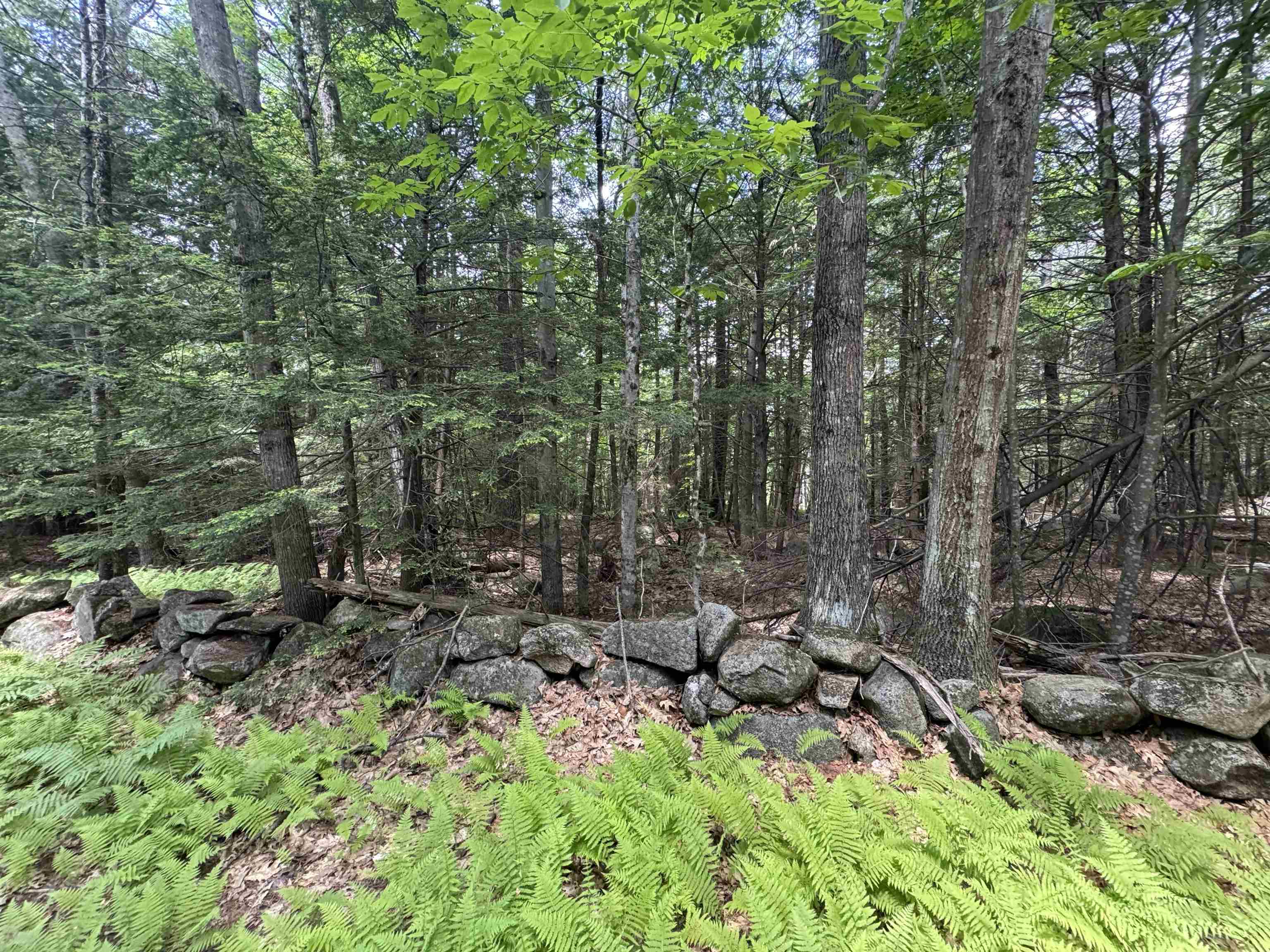 Lot S24-12C Pease Road