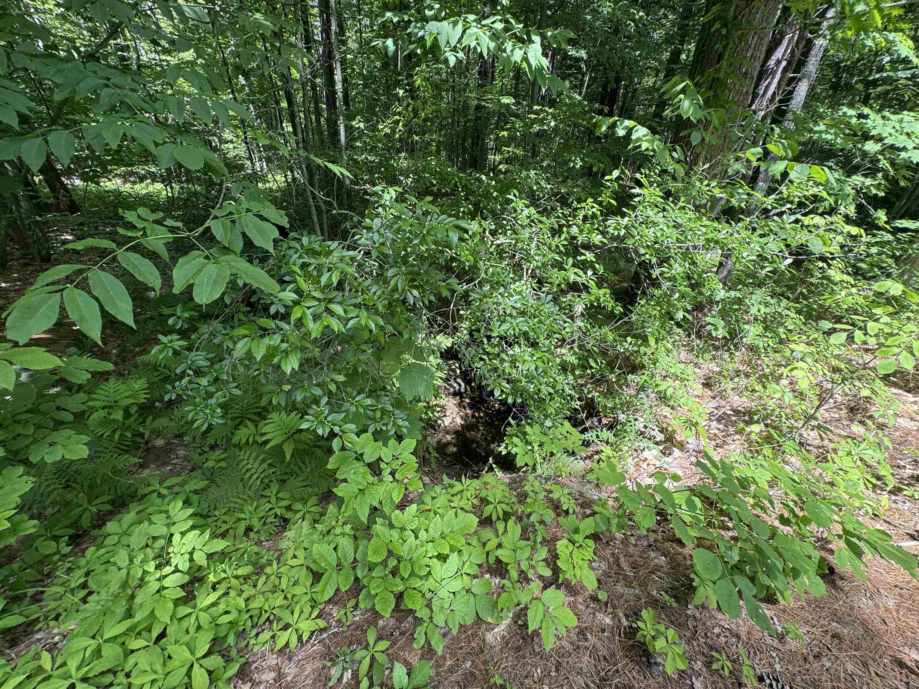 Lot S24-12C Pease Road