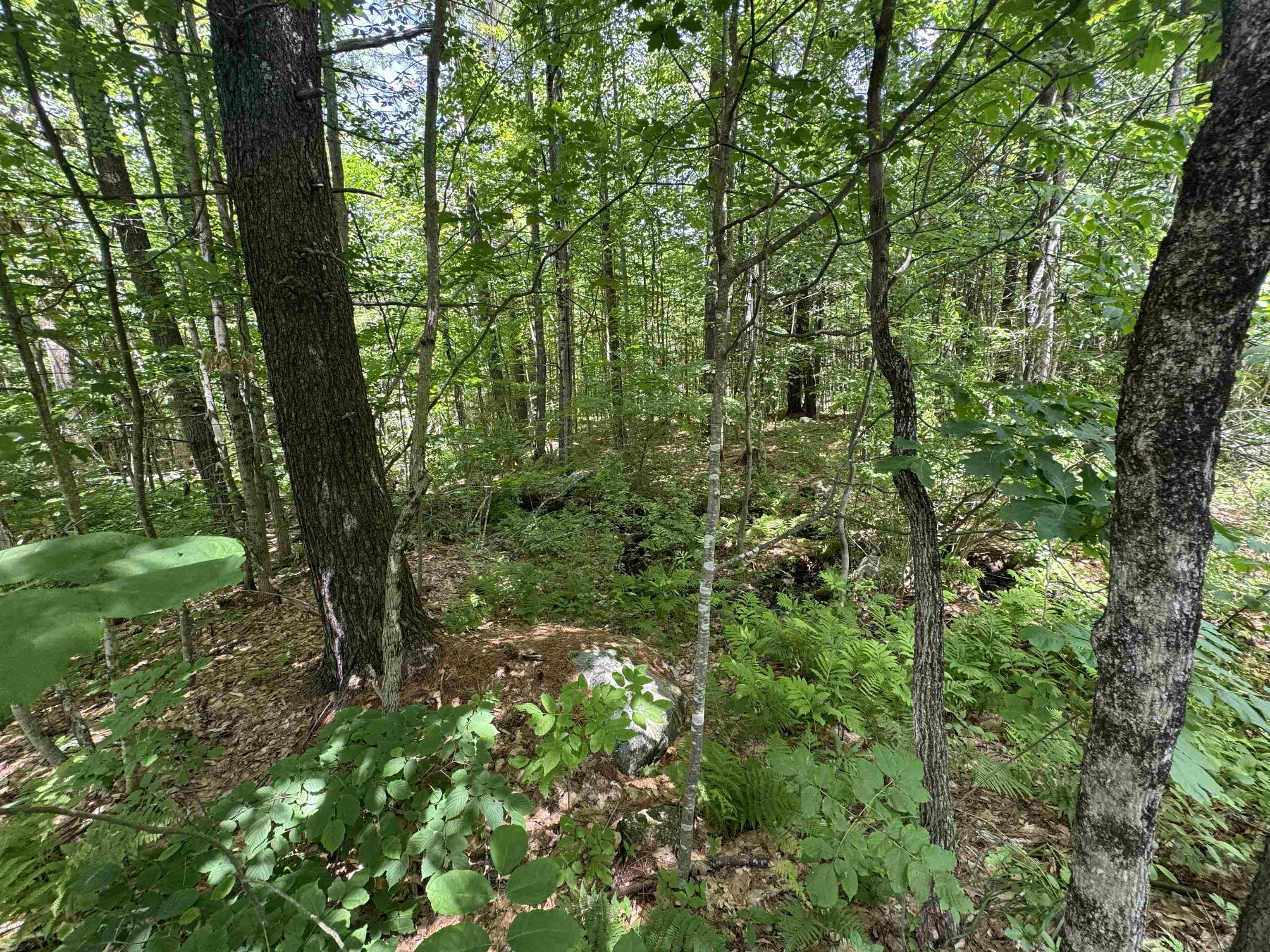 Lot S24-12C Pease Road