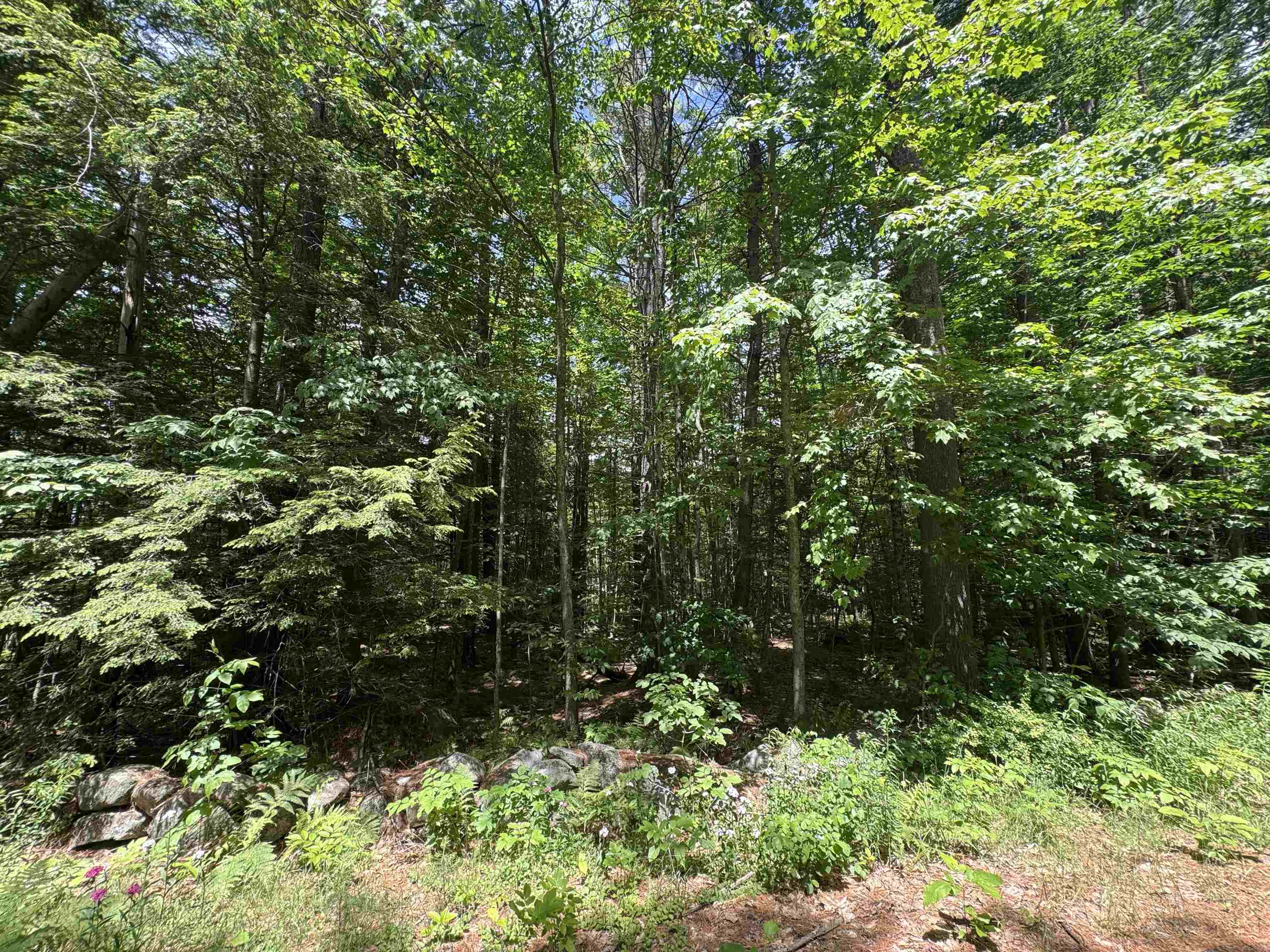 Lot S24-12C Pease Road