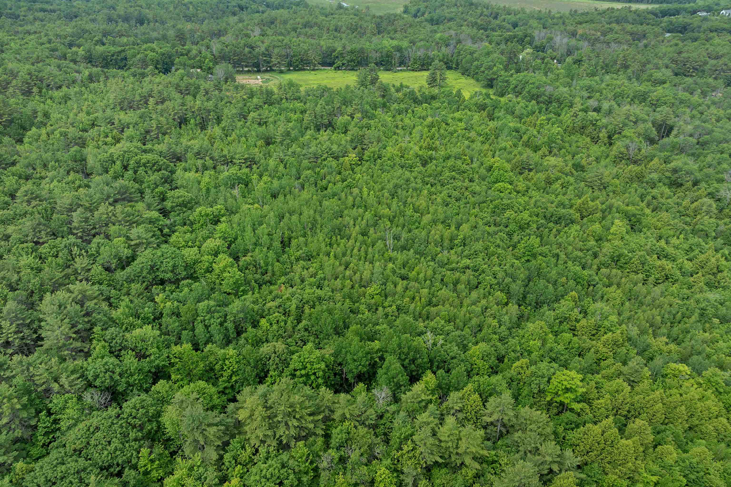 Lot S24-12C Pease Road