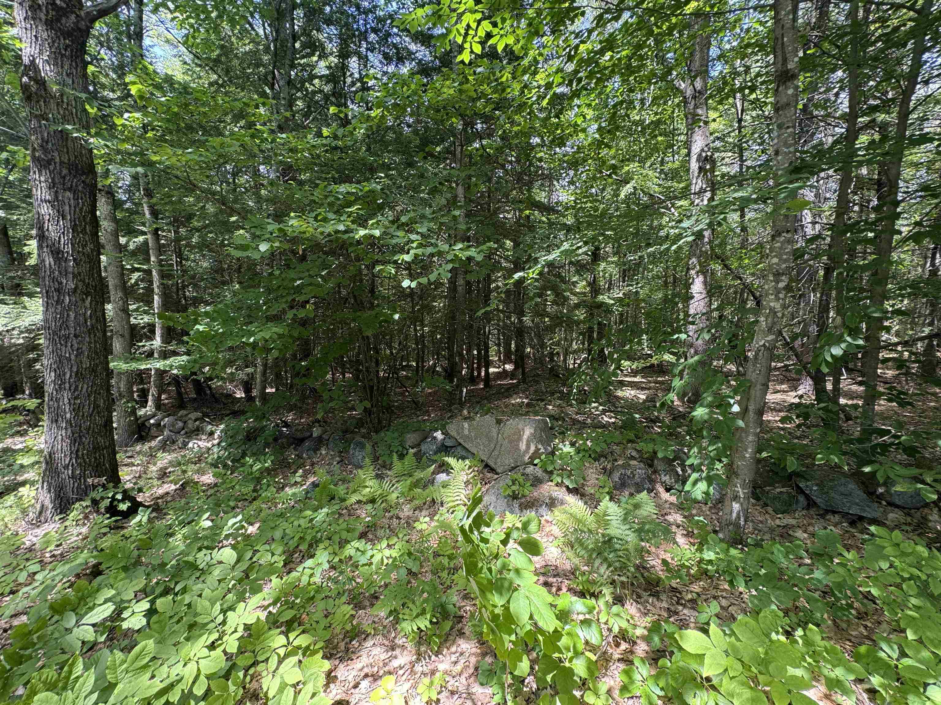 Lot S24-12C Pease Road