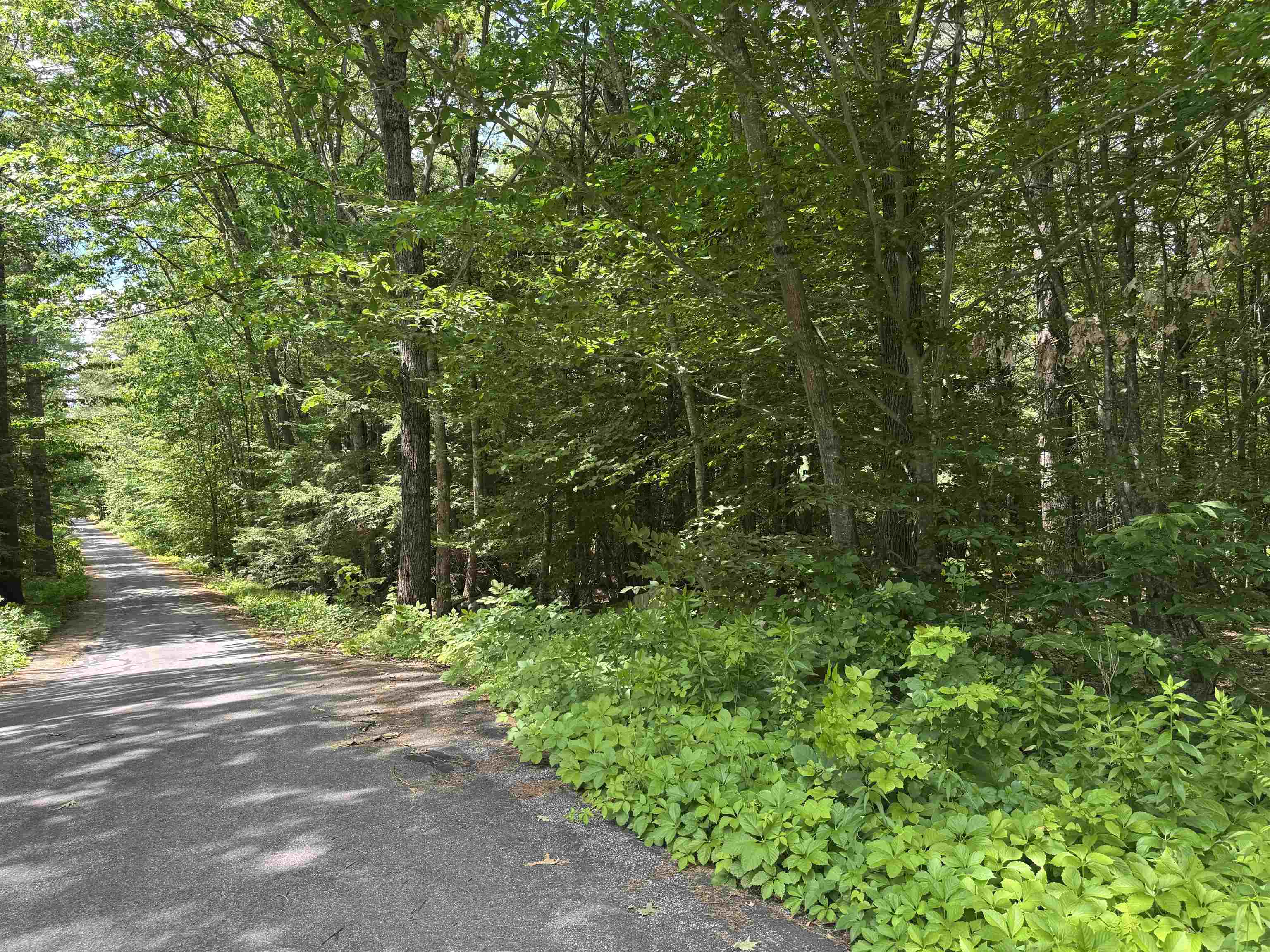 Lot S24-12C Pease Road