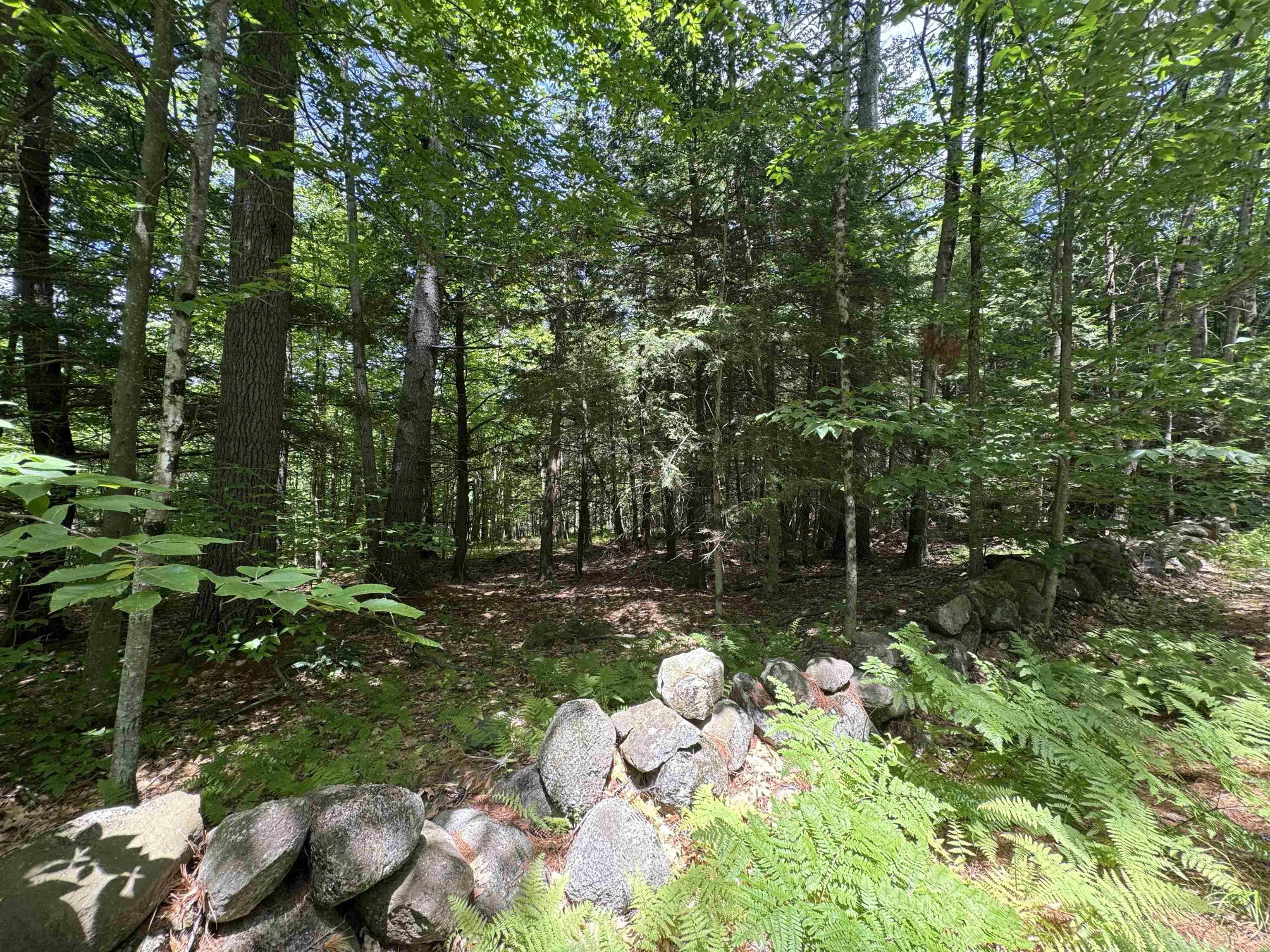 Lot S24-12C Pease Road