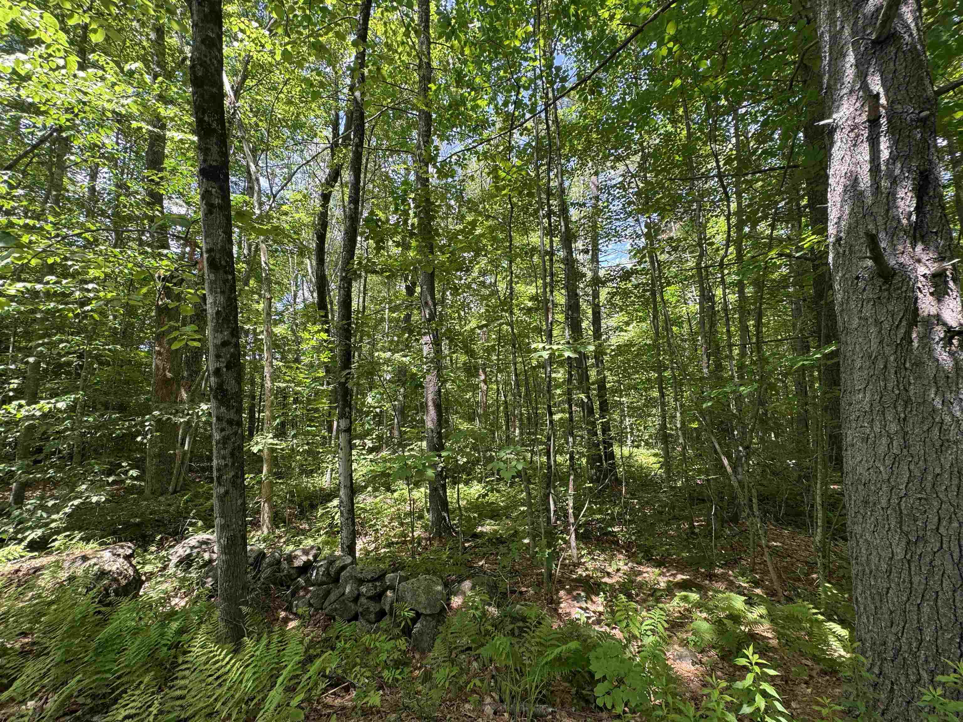 Lot S24-12C Pease Road