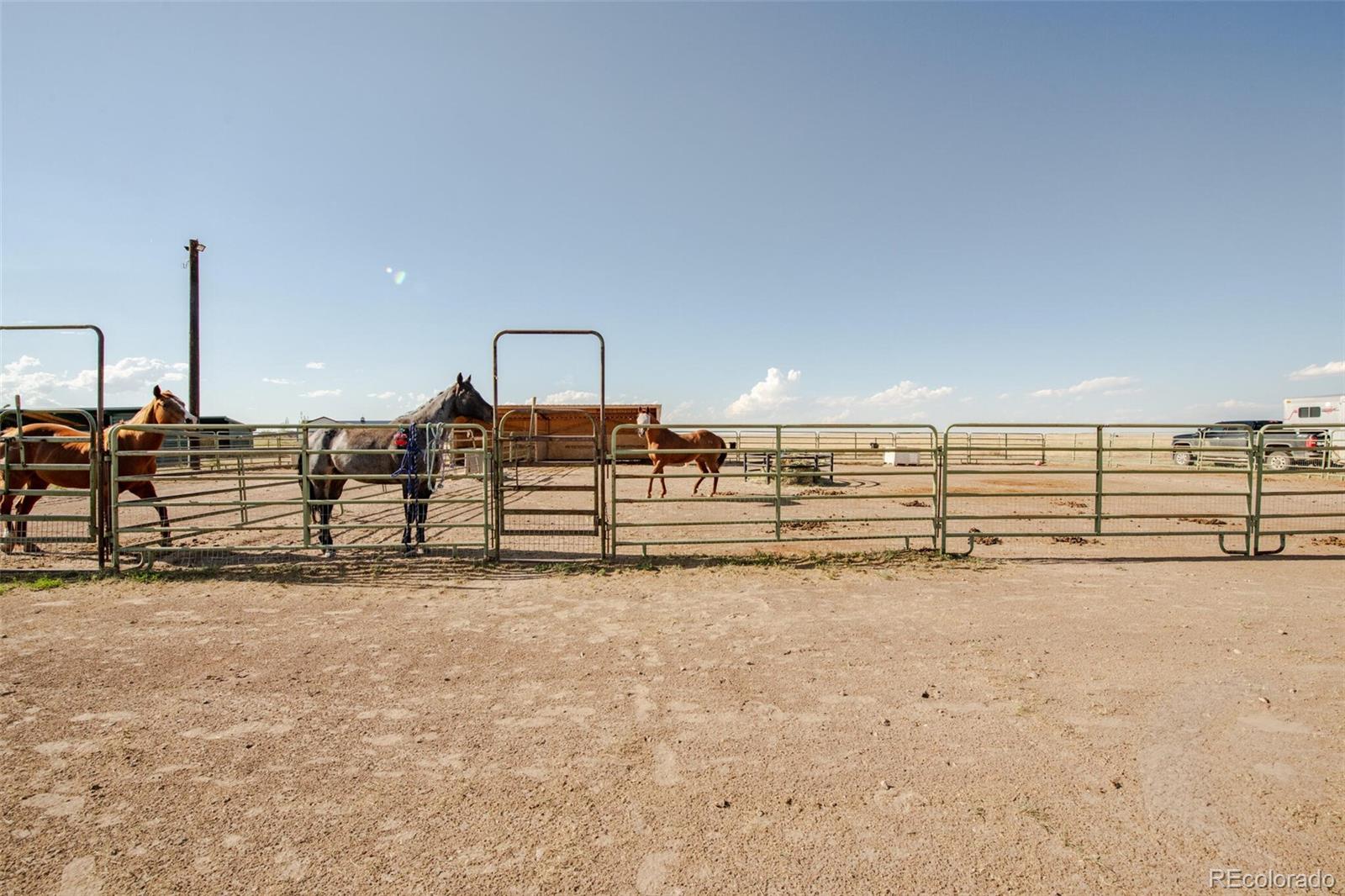 50620 County Road 33