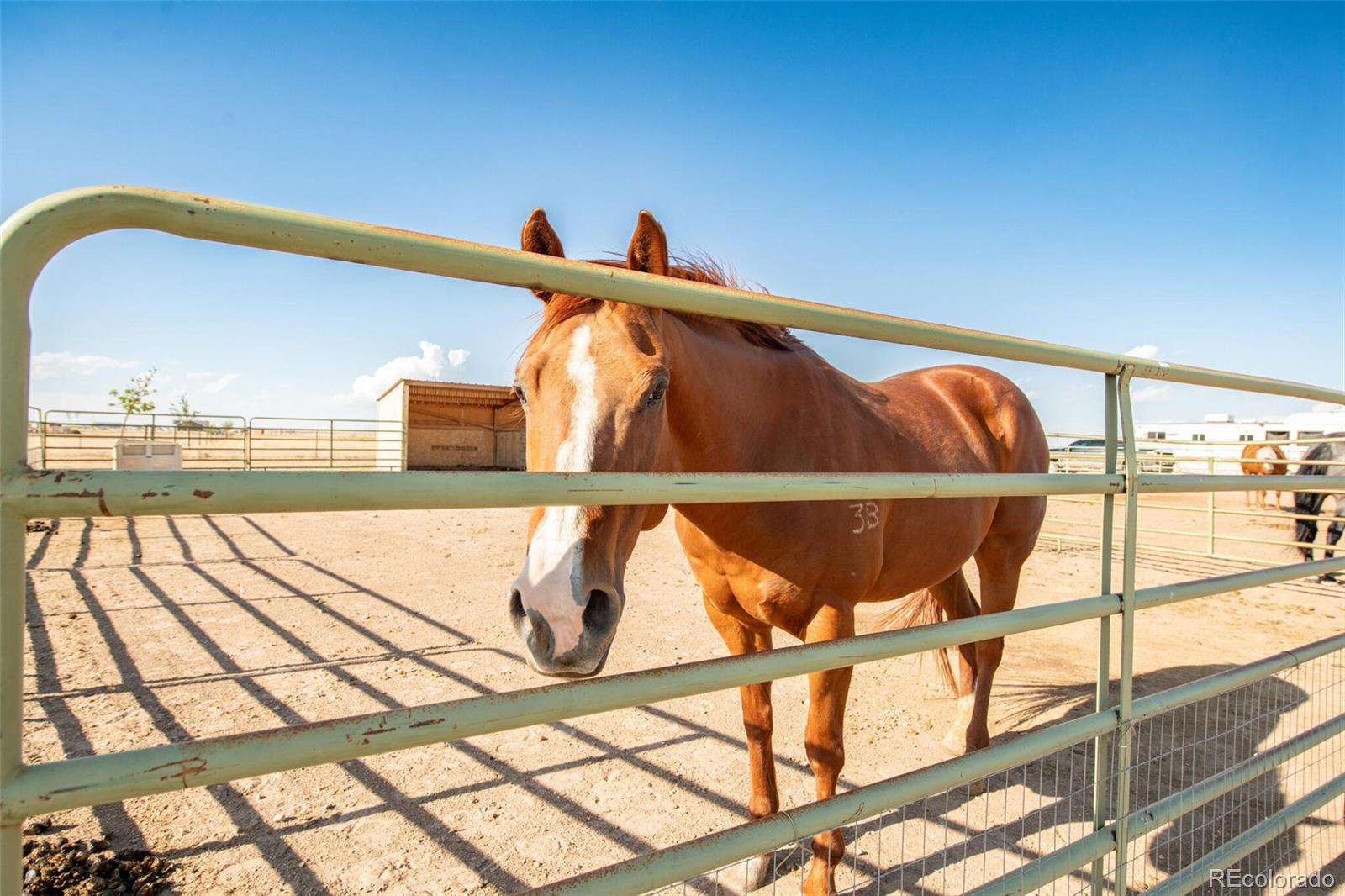 50620 County Road 33