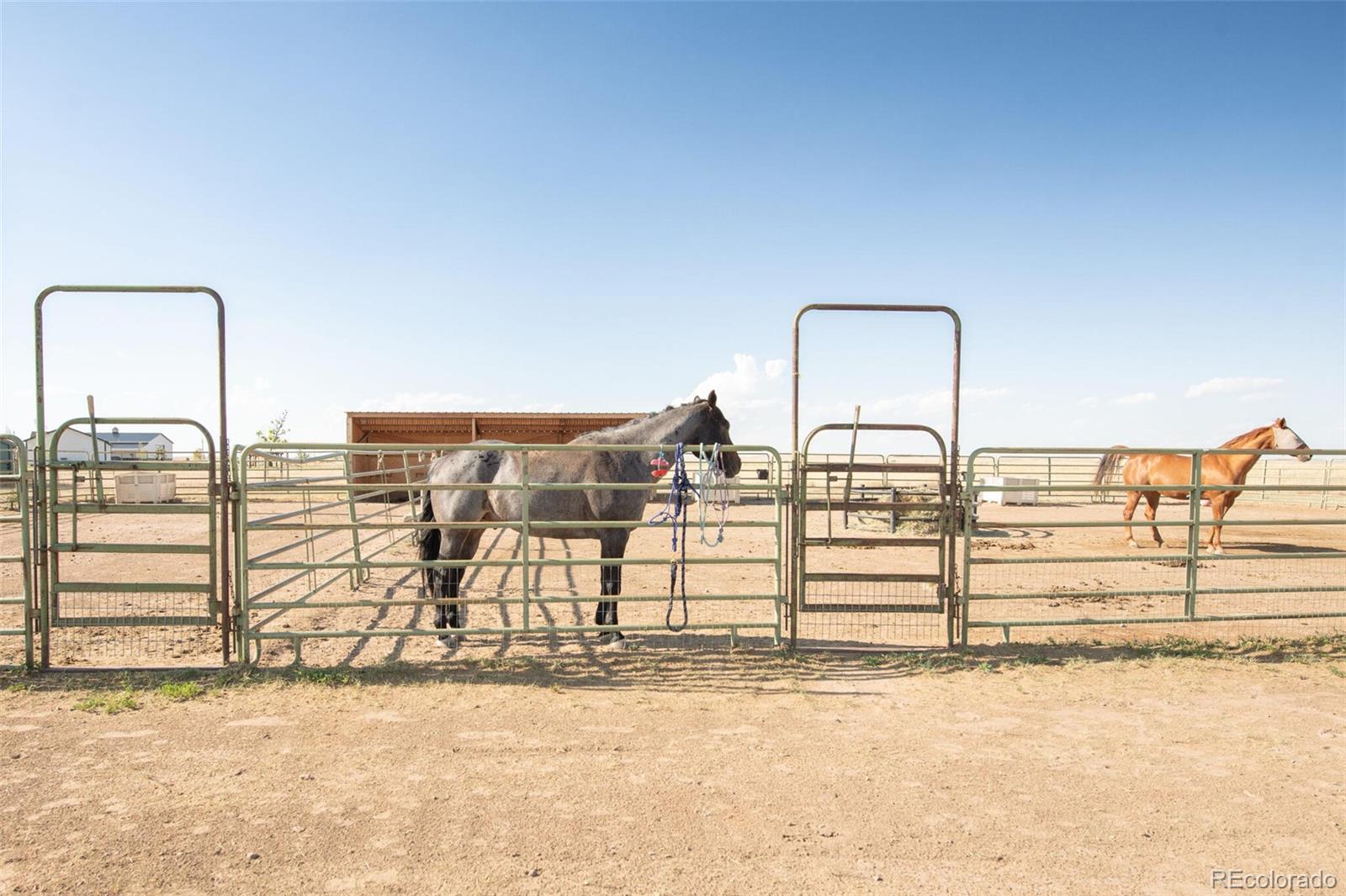 50620 County Road 33
