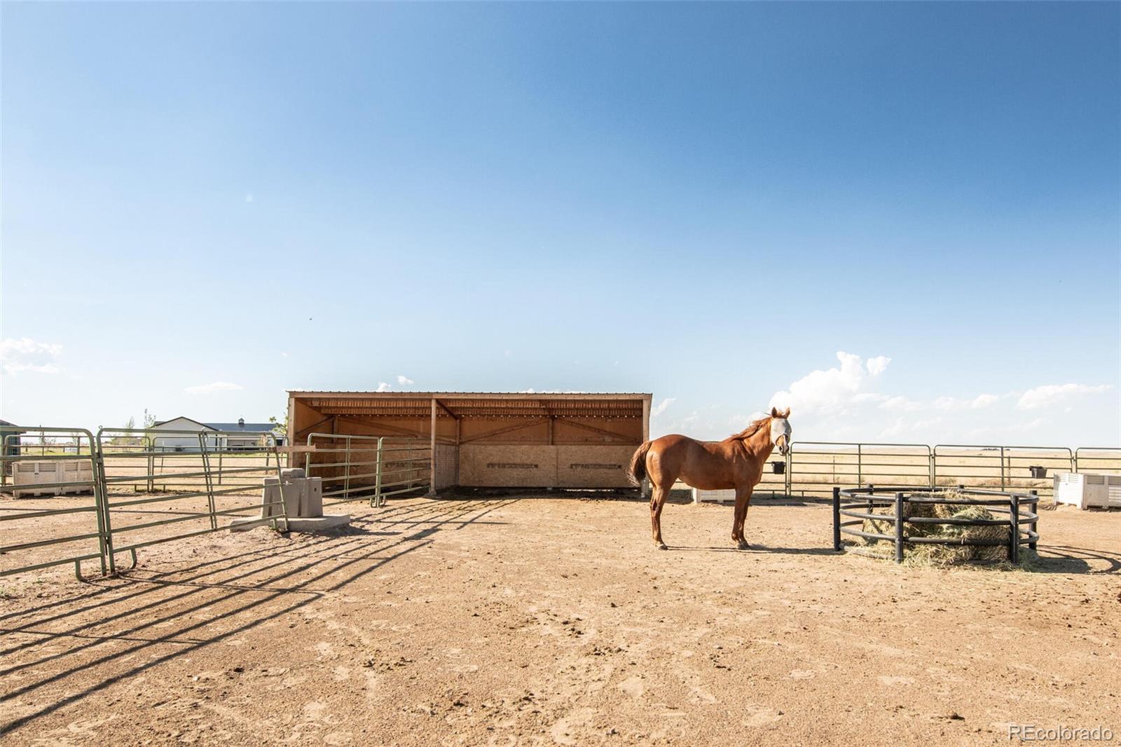 50620 County Road 33