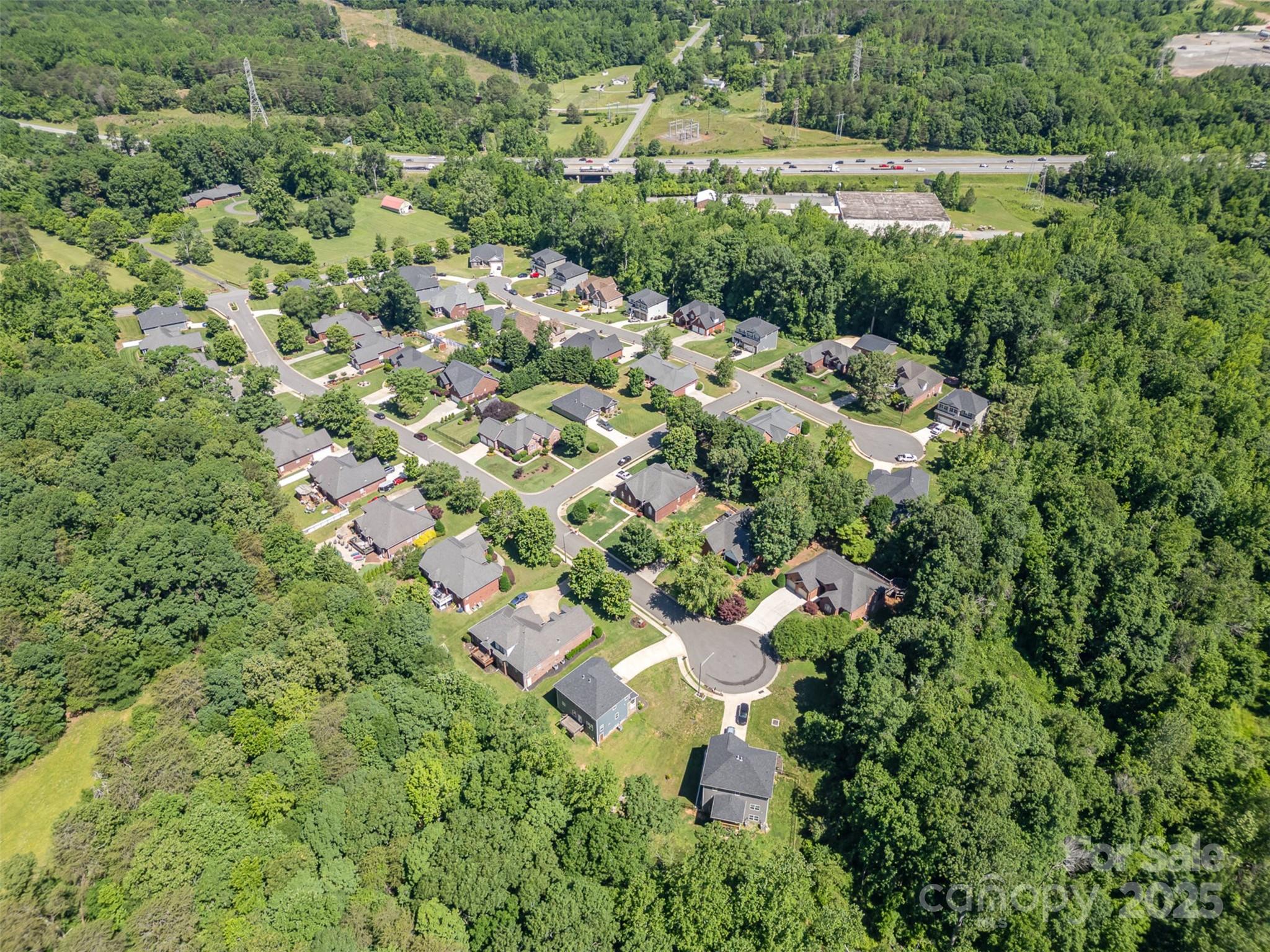 3917 Erskine Woods Drive