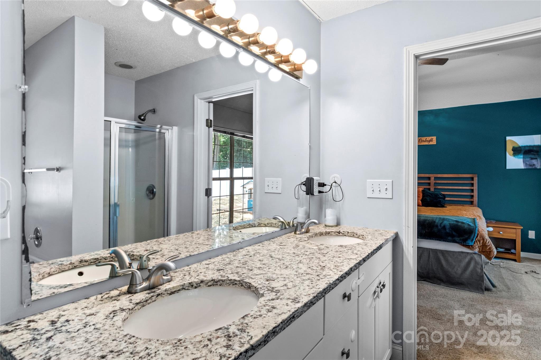 13517 Silver King Court