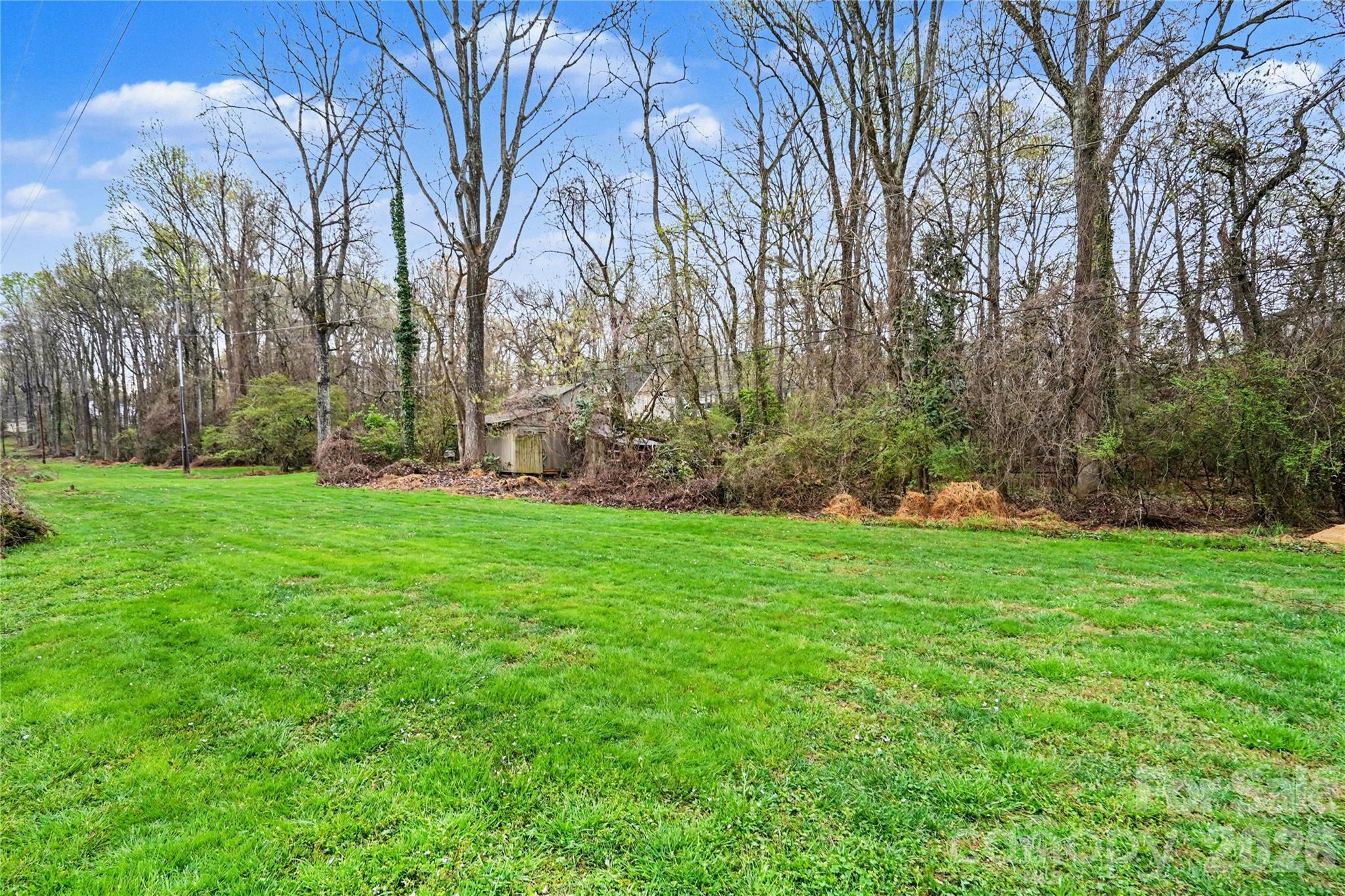 901 Shady Bluff Drive