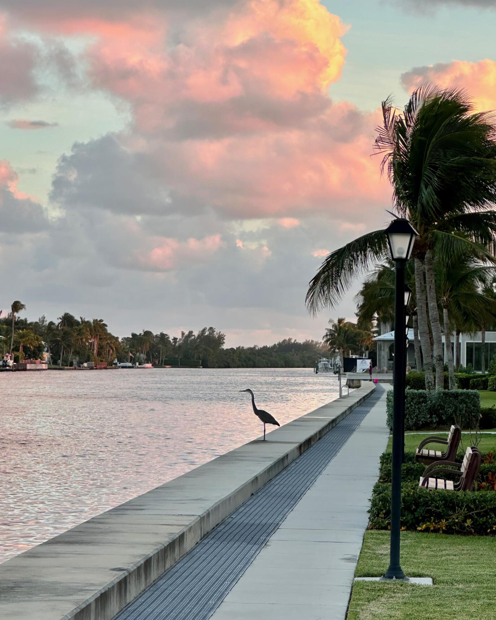 17 Colonial Club Drive 305