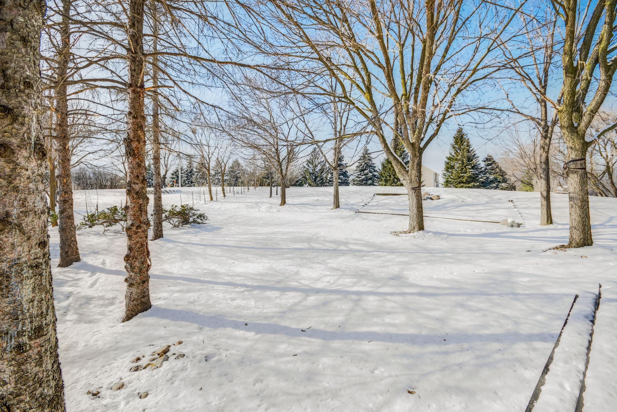 Snow-covered yard with mature trees and a stone-edged path.