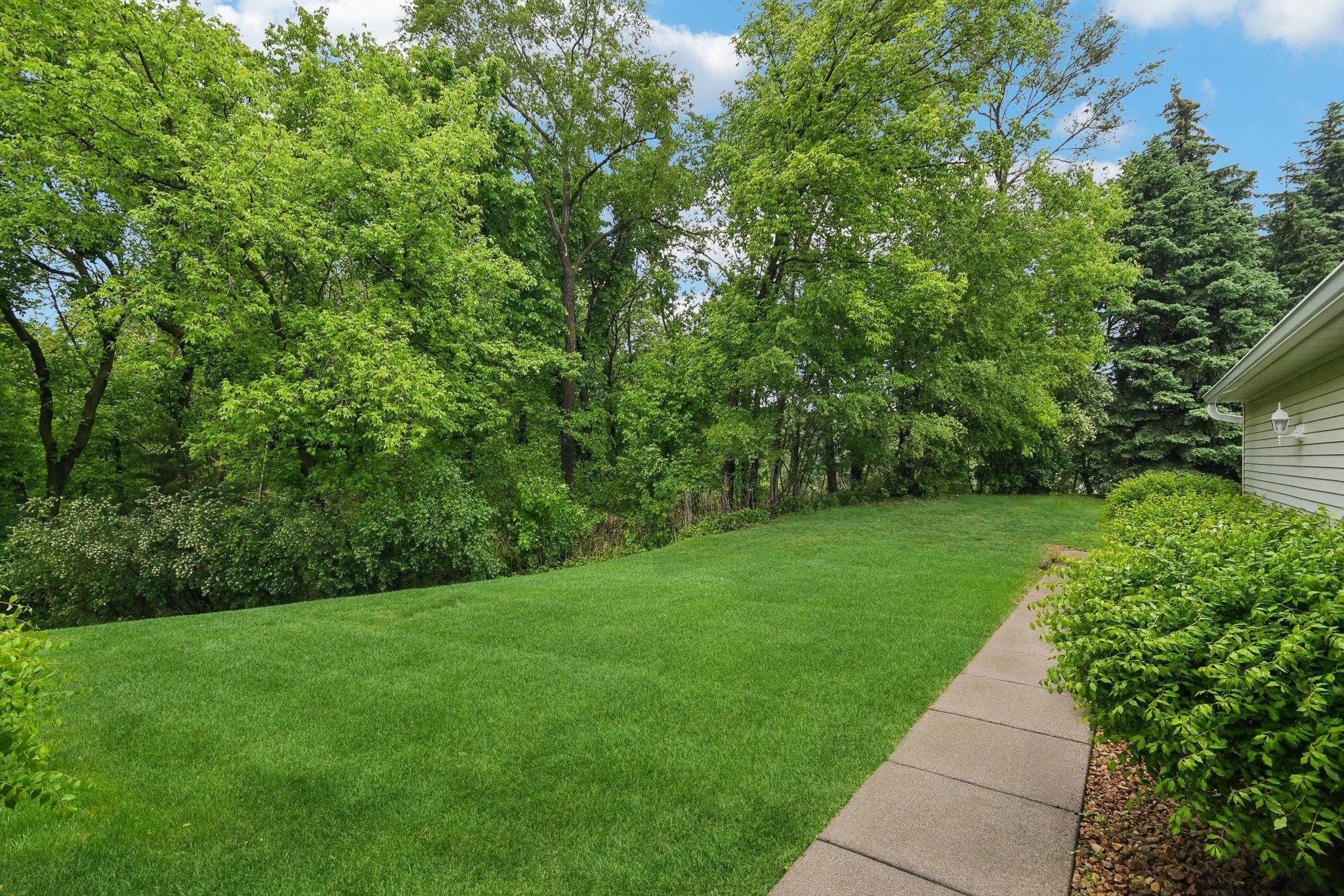 Spacious green backyard with mature trees, a concrete walkway, and the side of the house.