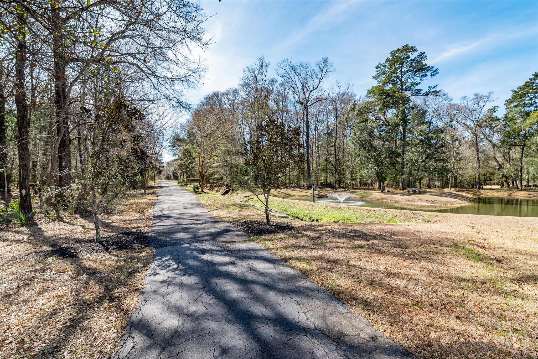 307 Arbor Oaks Drive
