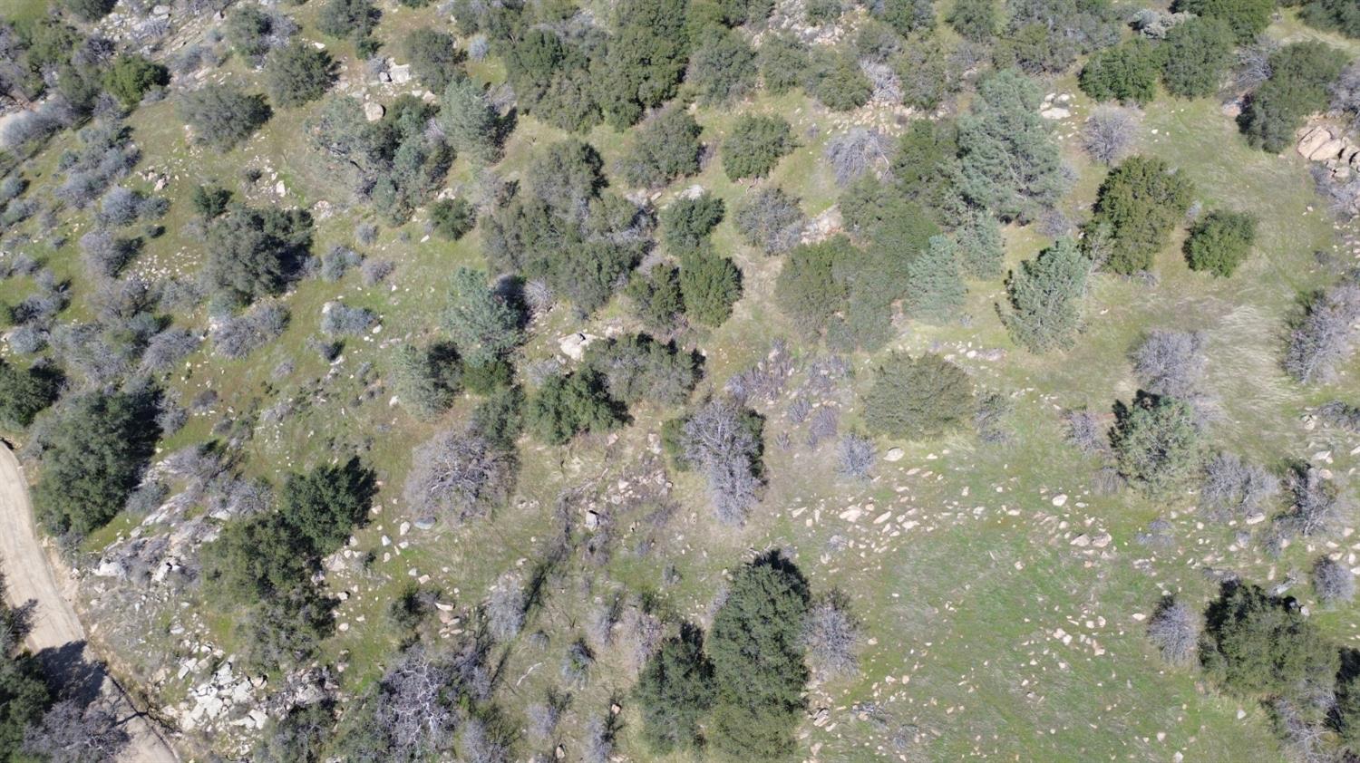 25 Buckaroo Lane