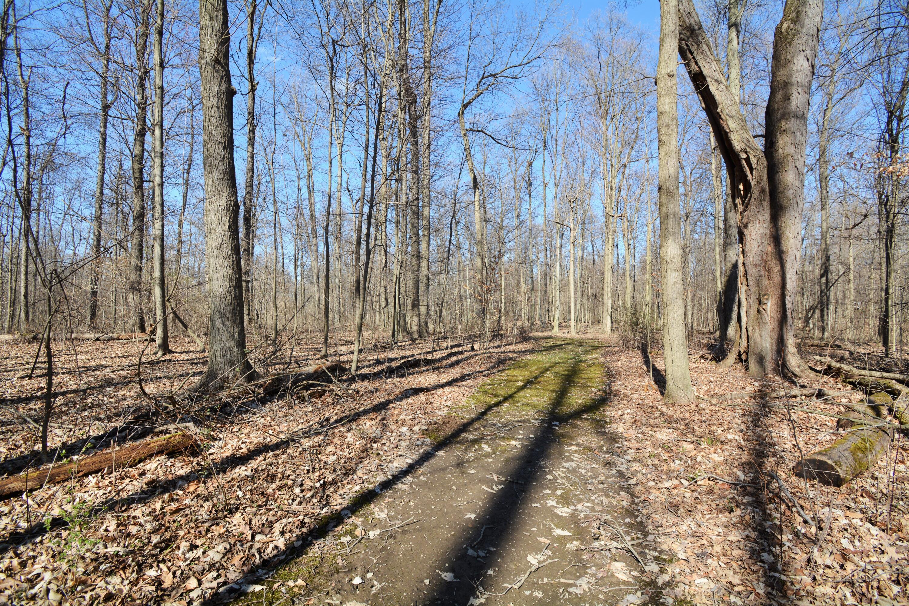 4983 Township Road 179