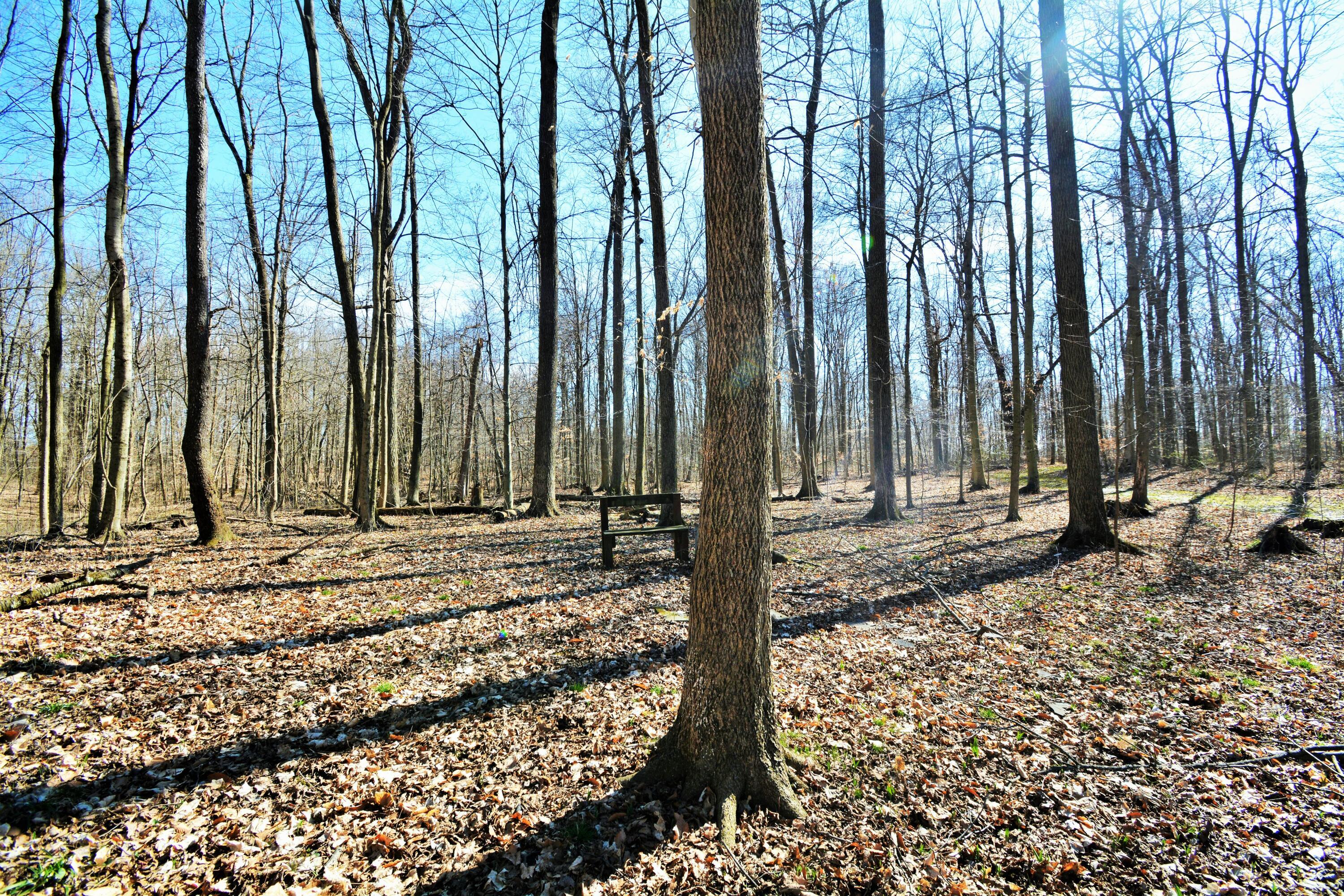 4983 Township Road 179