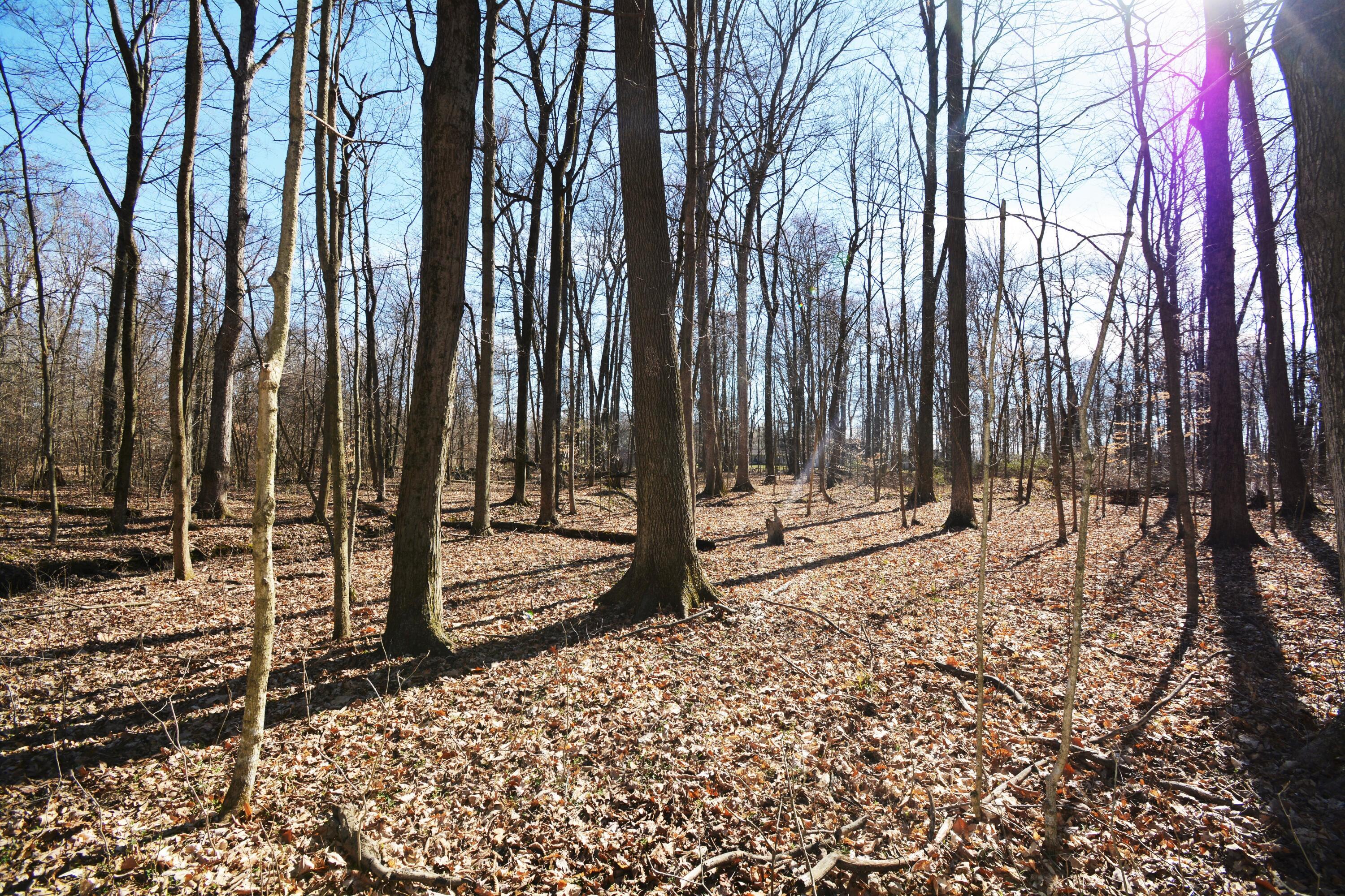 4983 Township Road 179