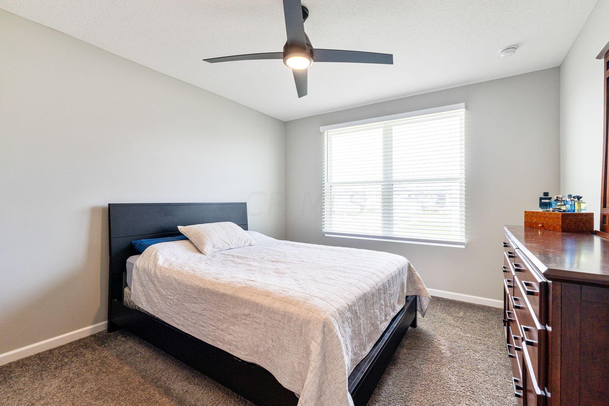 369 Lemming Drive