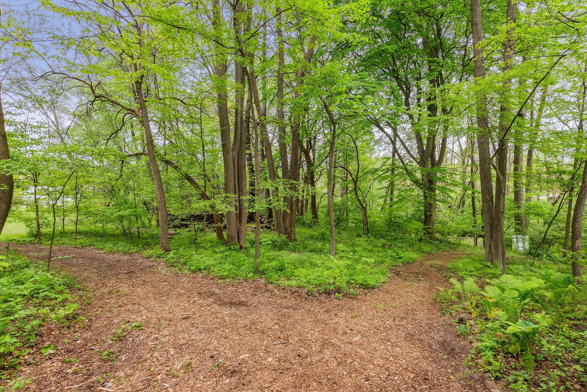8641 Porter Central Road