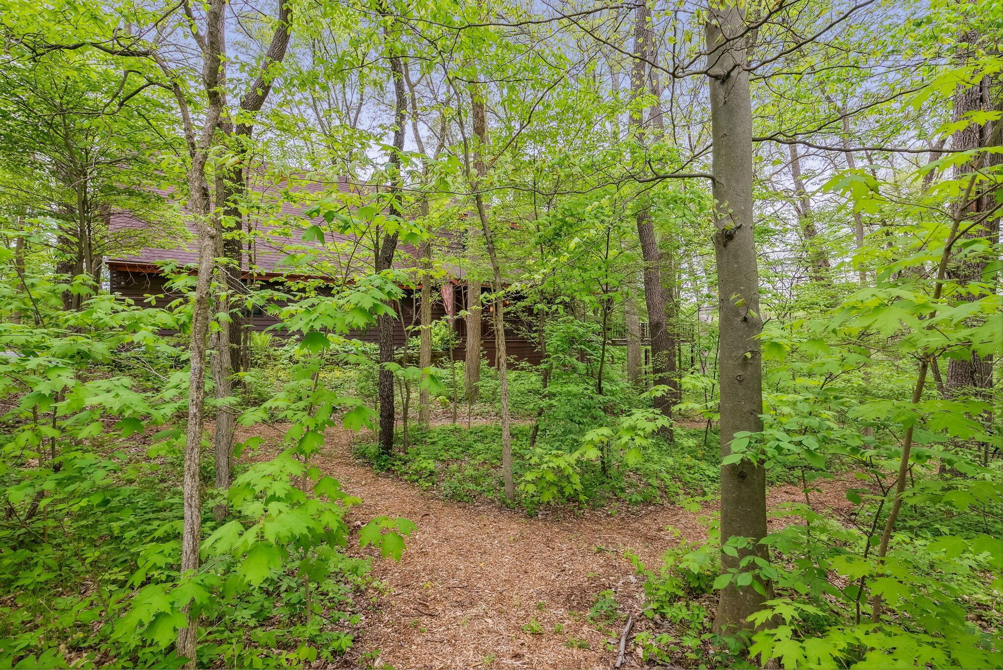 8641 Porter Central Road